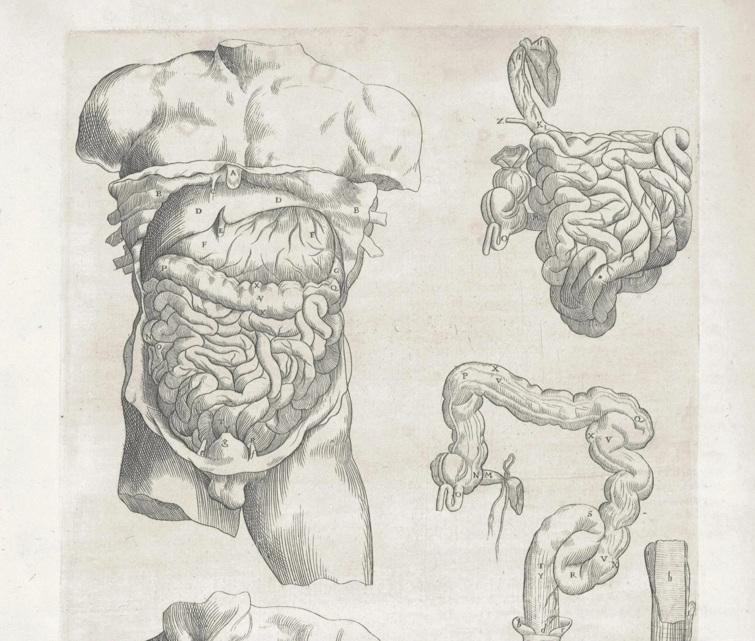 Why Eating Disorders can feel like IBS