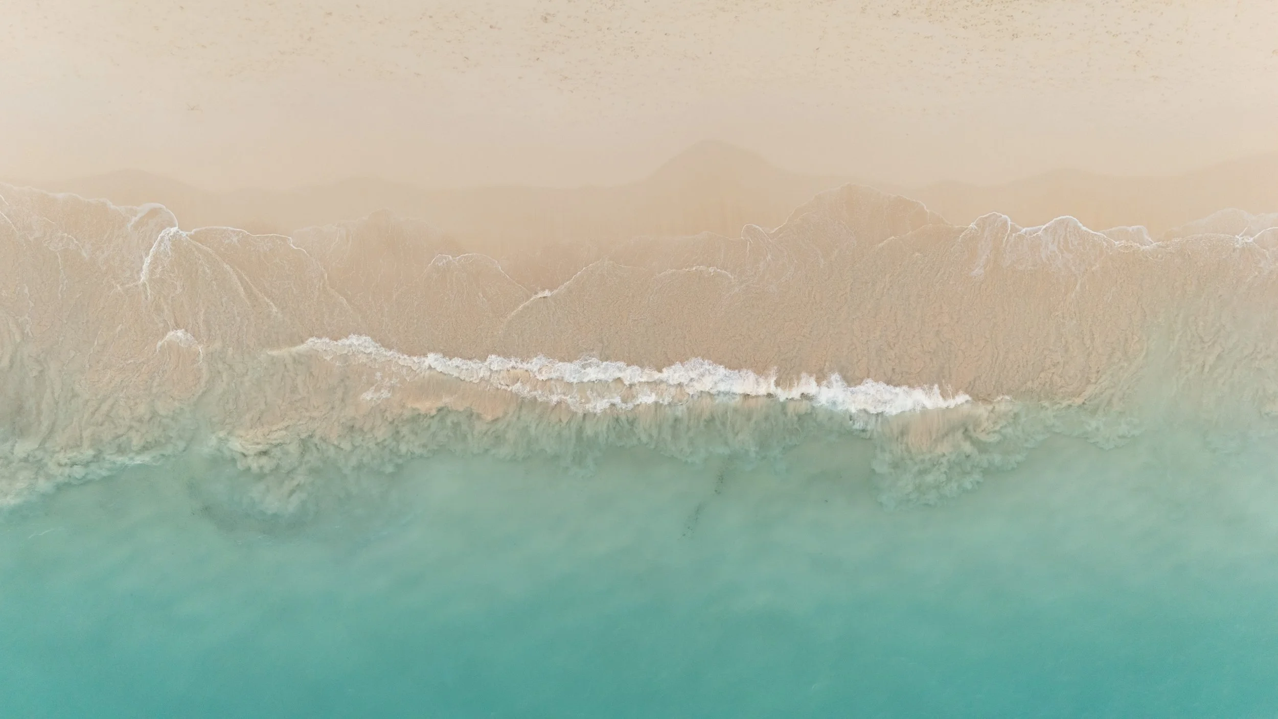 l-and-a-sneaks-drone-8.jpg