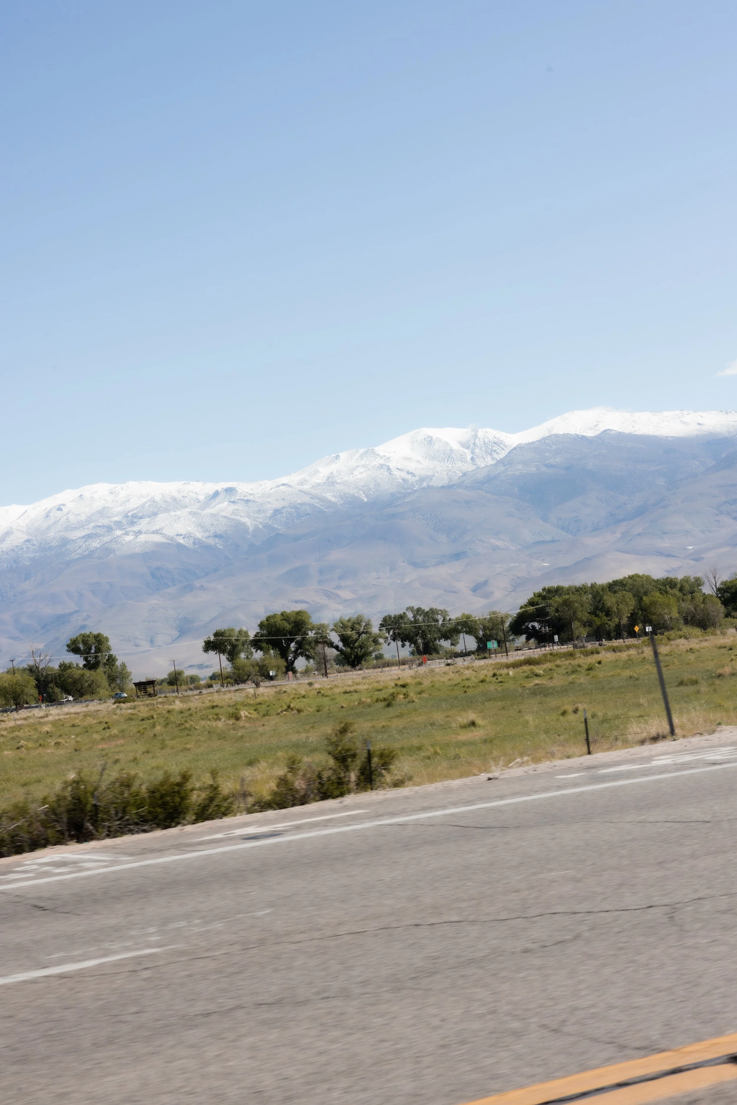 _MG_8737.jpg