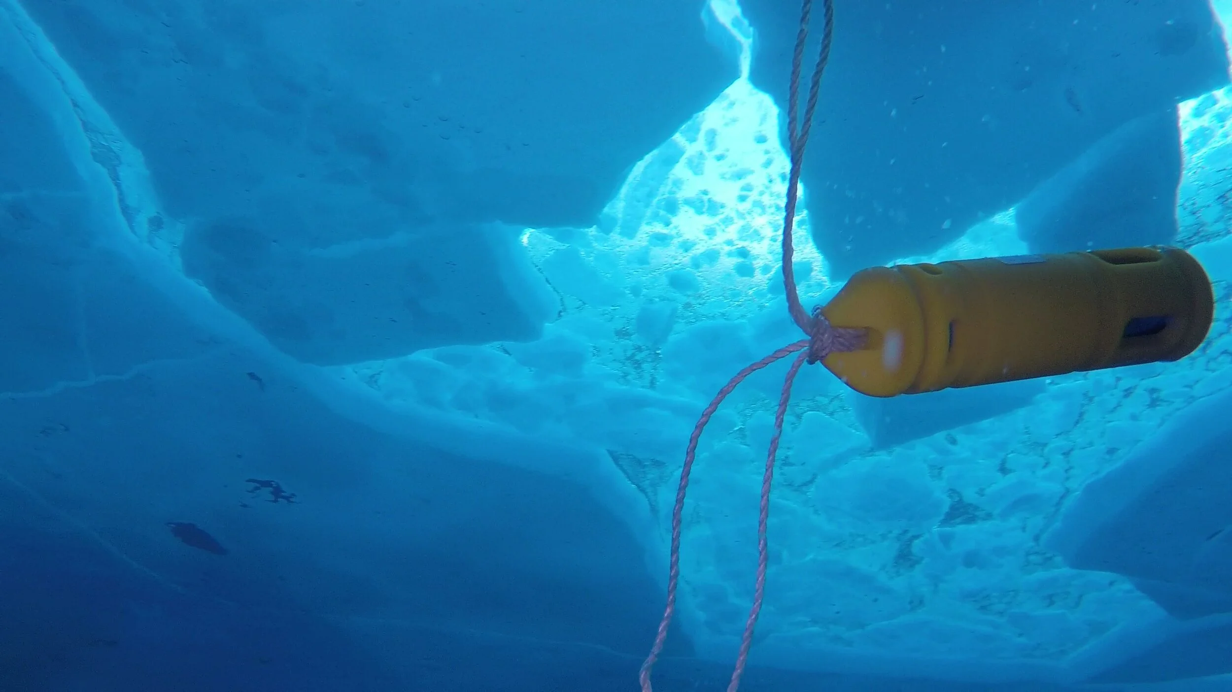 Sensor below ice.jpg