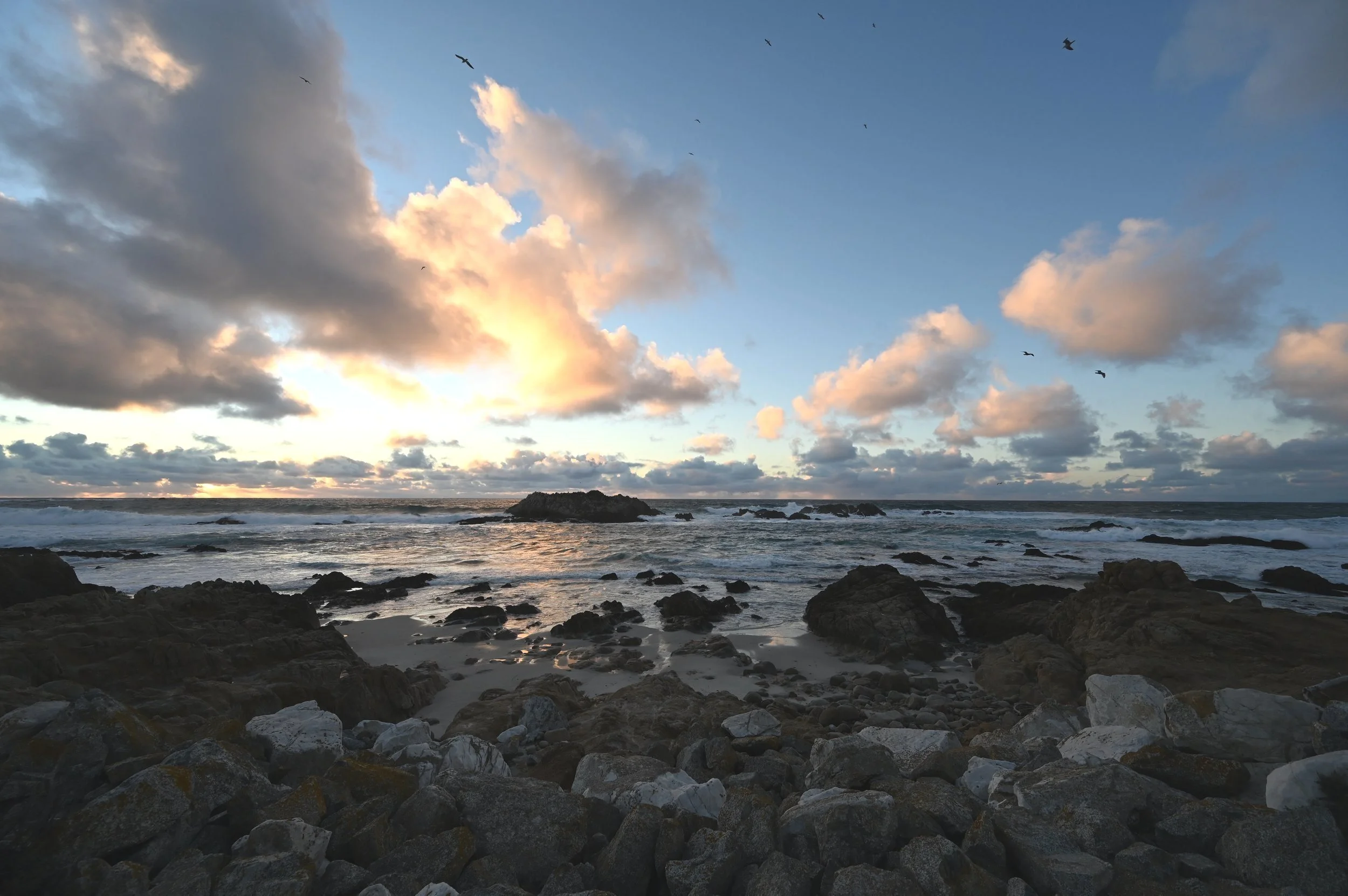 DSC_3945.jpg