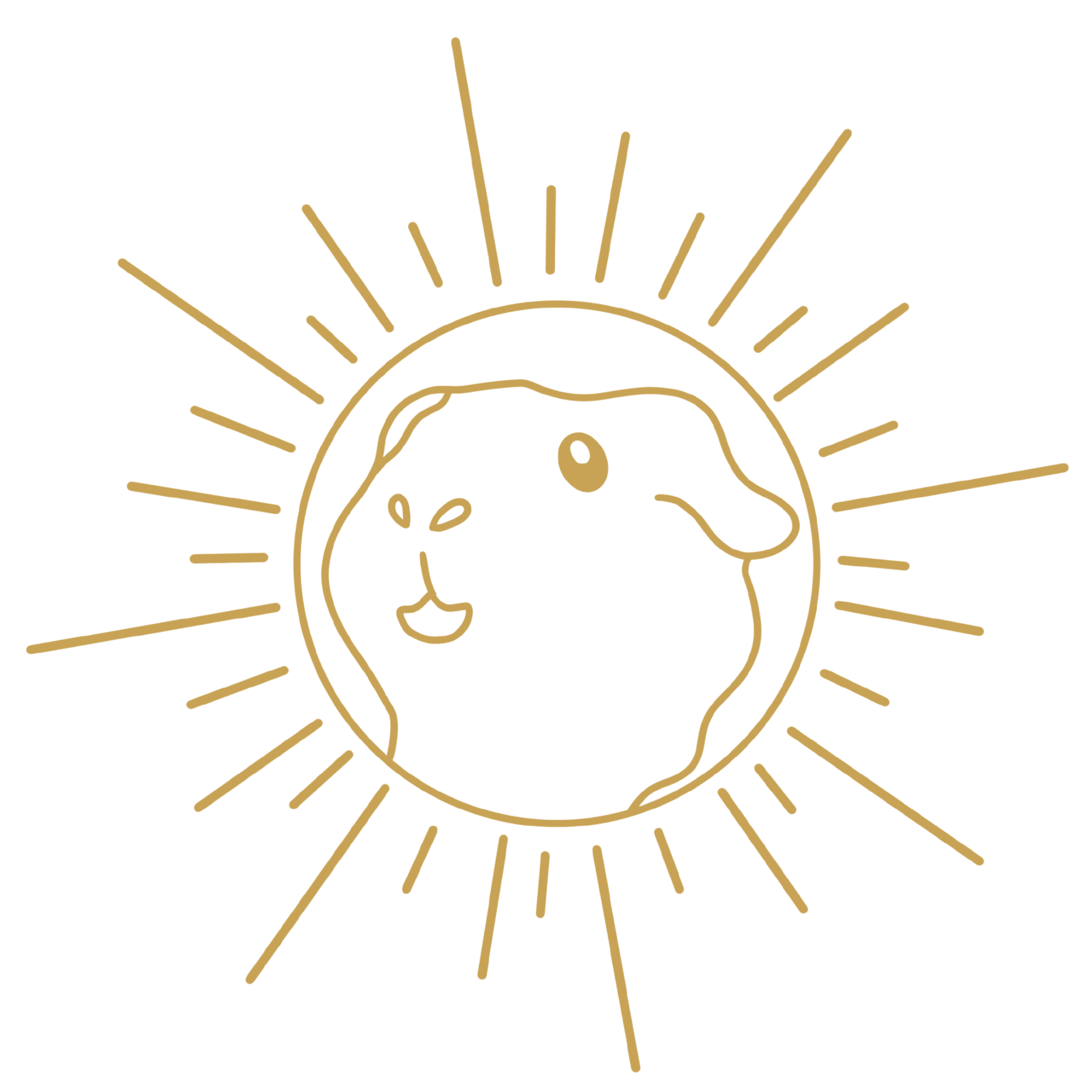 Top 3 Couples Poses | Bellingham, Washington Couples Photographer — Eva ...