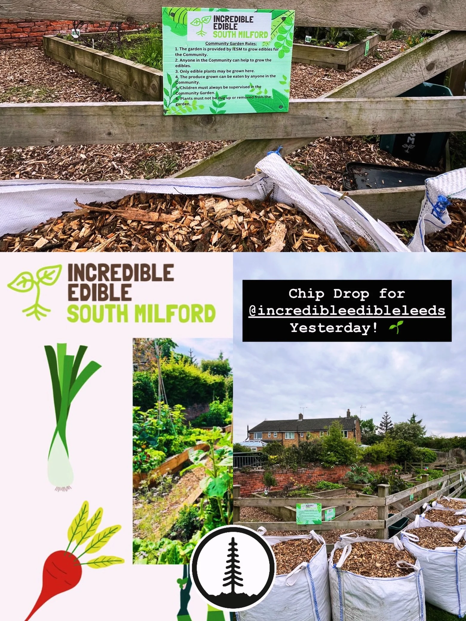 🌳 Turning waste into growth with @incredibleedibleleeds Loved dropping off a fresh load of wood chips to support their amazing community garden projects. 🥕✨ At TimberCulture, we&rsquo;re all about keeping it local and sustainable.Need a chip drop f