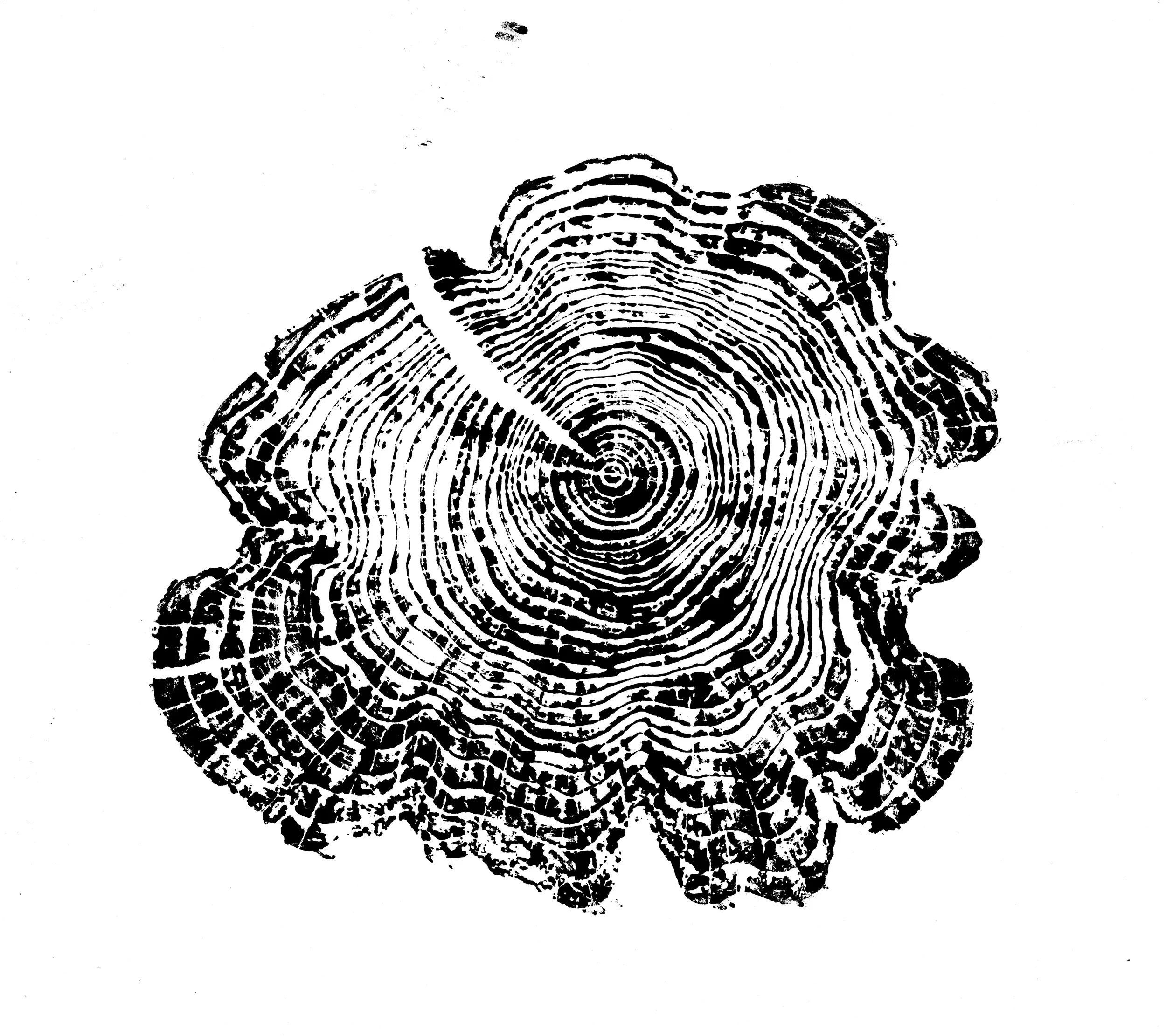 Black and white illustration of a tree cross-section showing growth rings.