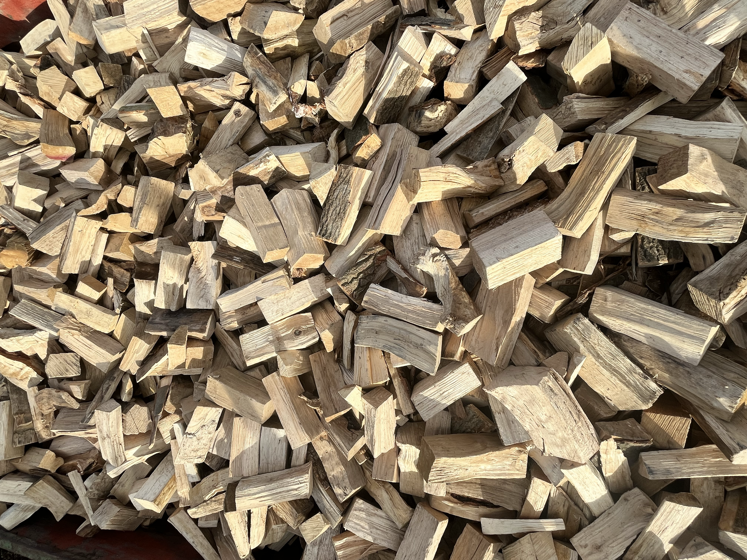 Pile of chopped firewood stacked outdoors.