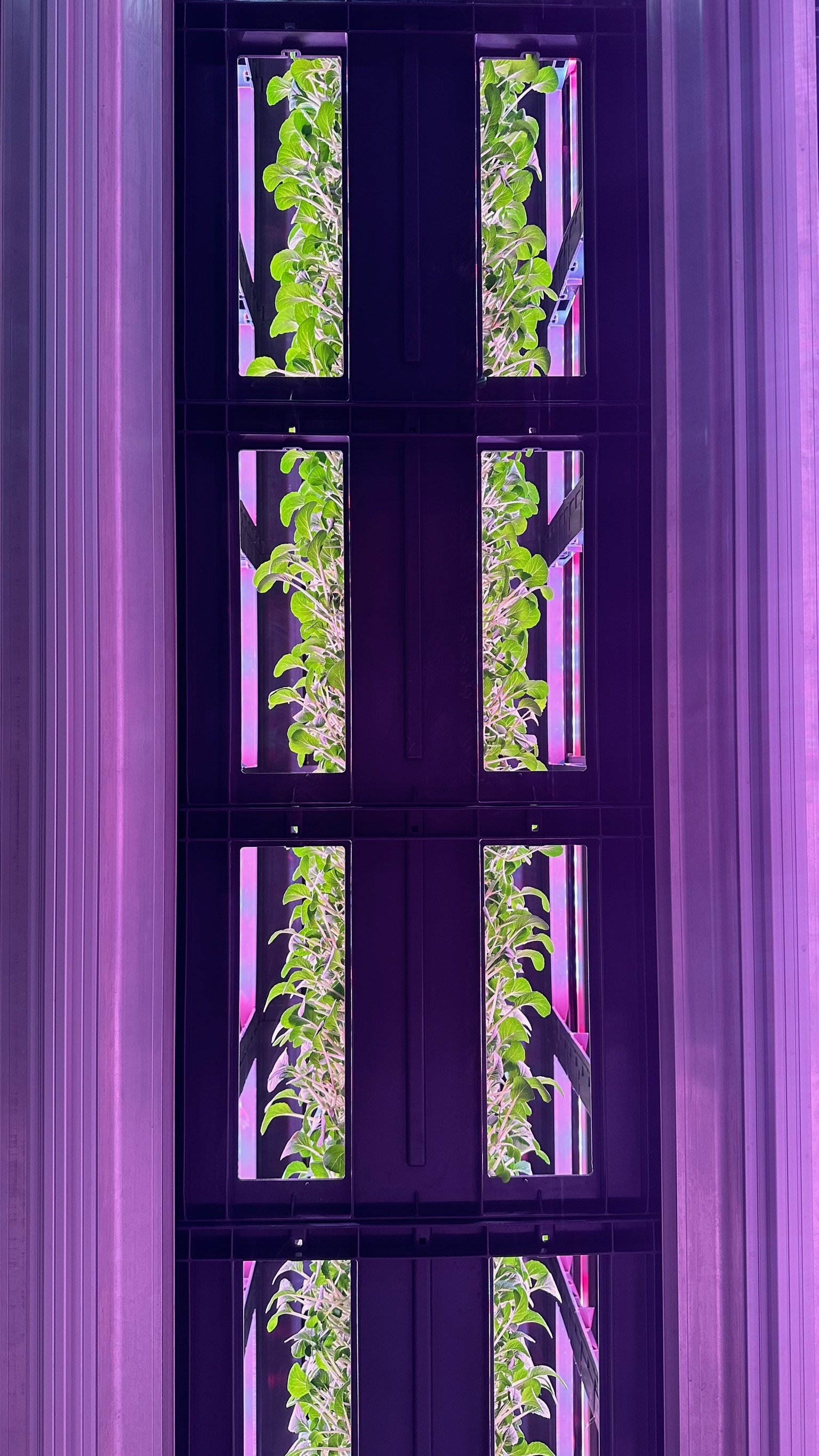 Profitable Vertical Farming with OnePointOne