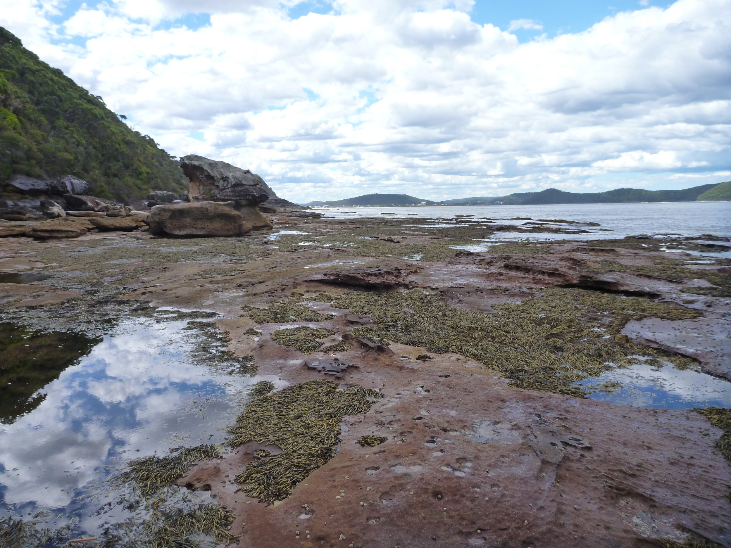 P1000200.JPG