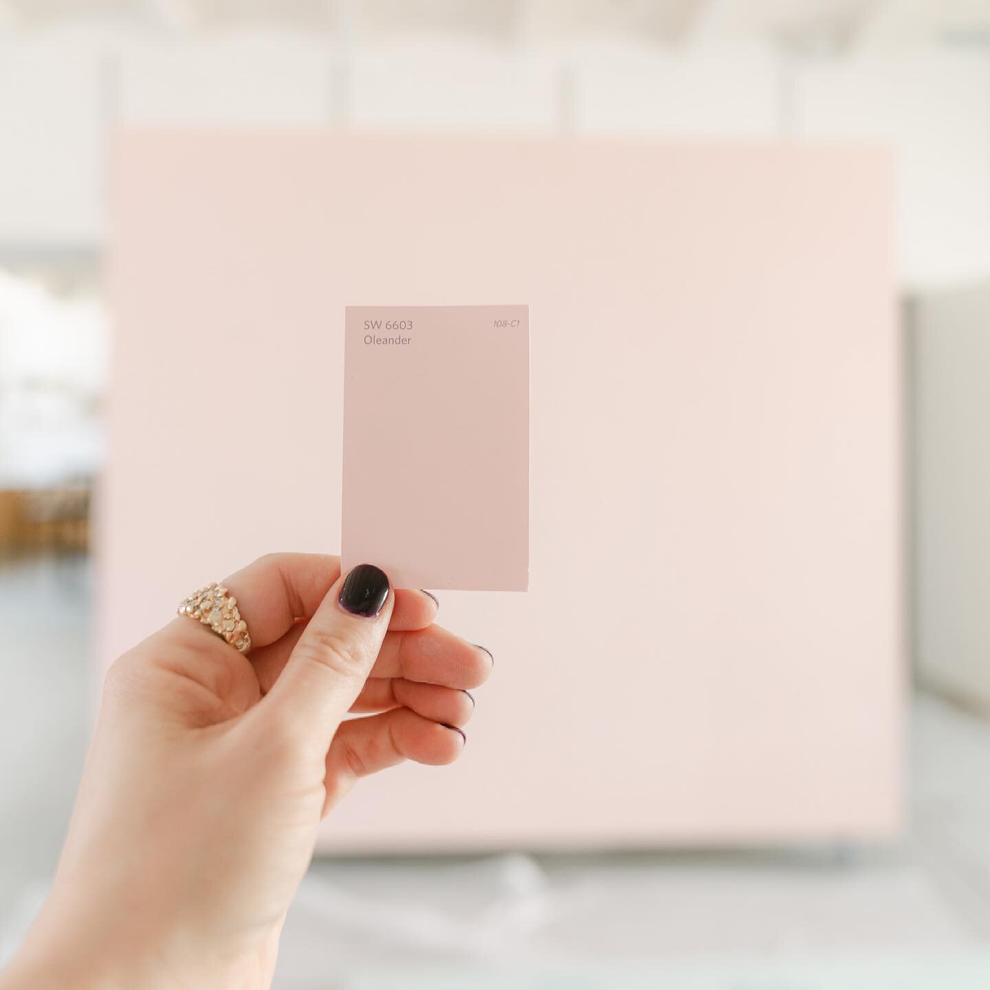 getting ready to welcome S P R I N G with this pretty blush color on the rolling wall 🌸
.
but fans of emerald green, fear not!  We loved the color so much we&rsquo;re painting a vflat with the leftover, so you you can still shoot it!