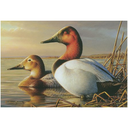 2014_Canvasbacks_Grimm_web.jpg