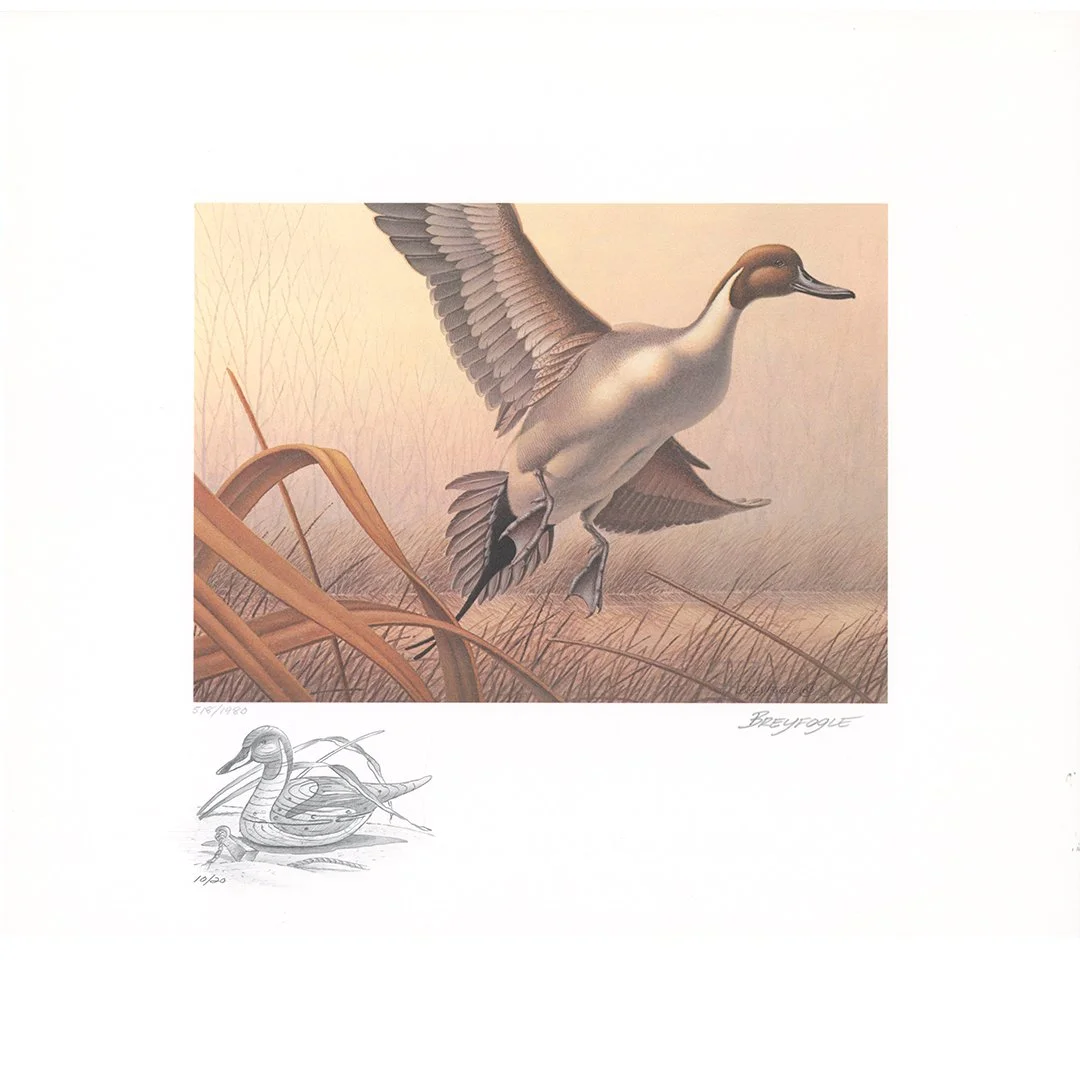 1985_DE_PencilRemarque-02.jpg