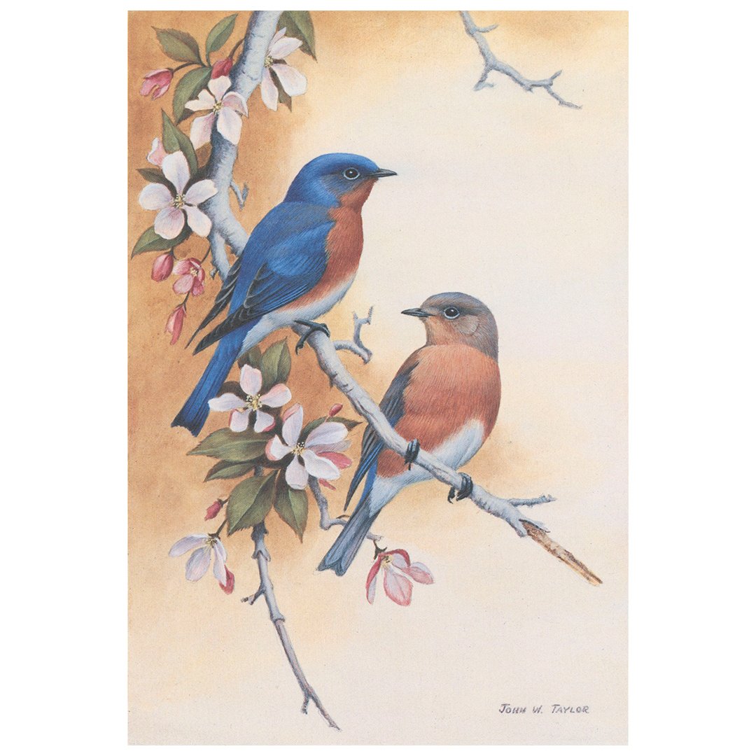 1987_MD_Conservation_Print.jpg