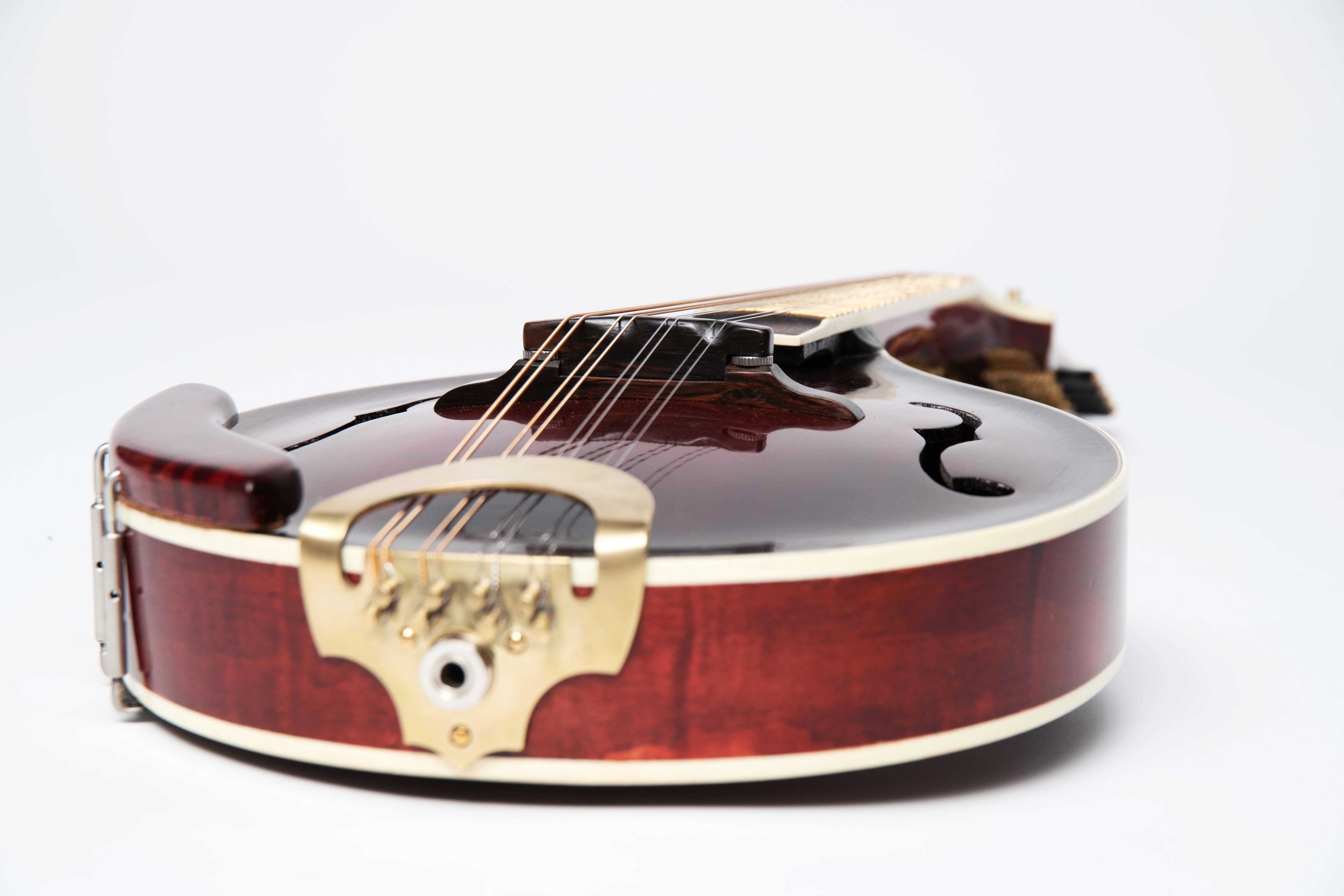 Mandolin 13-11-25_0085.jpg