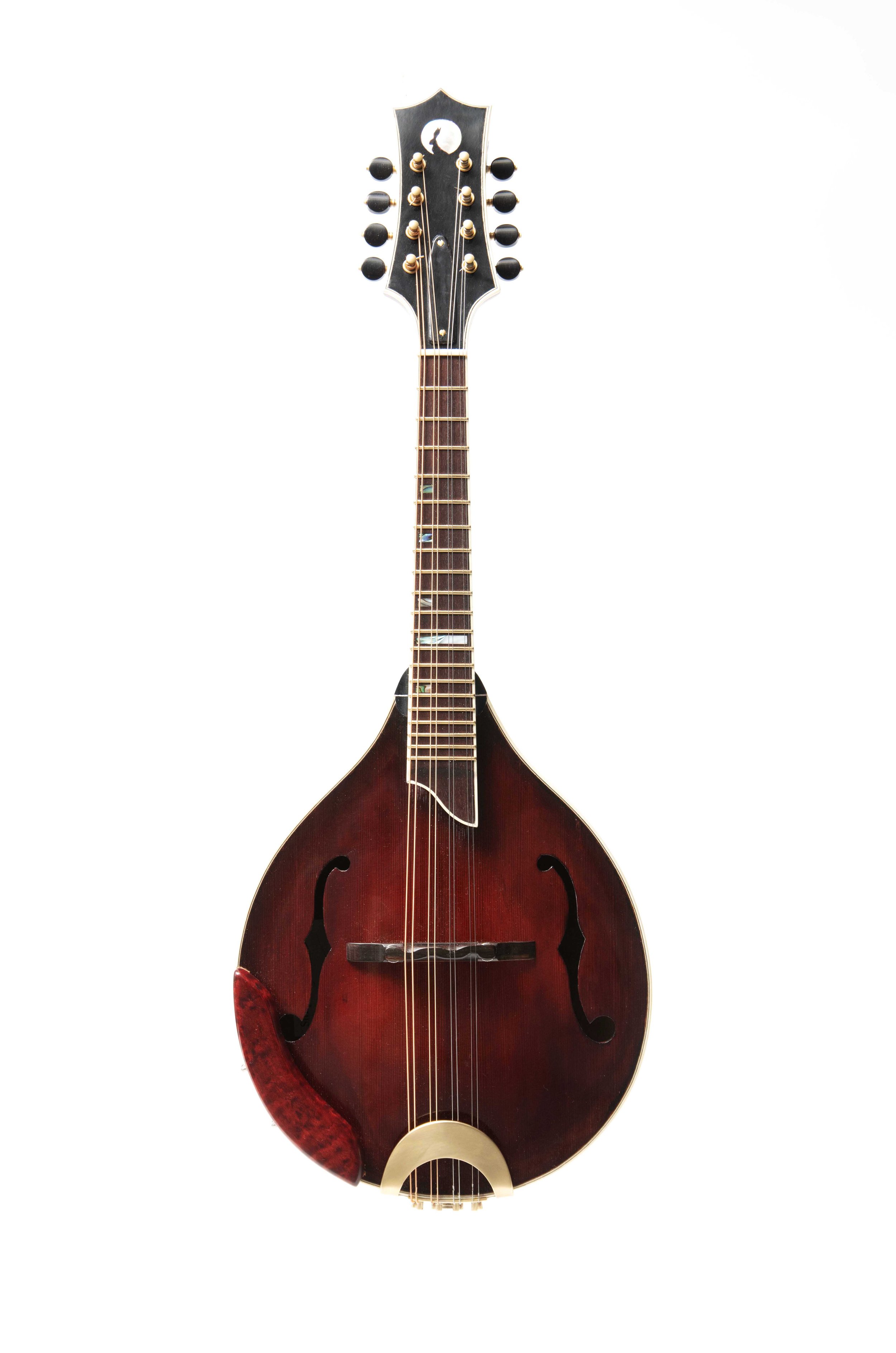 Mandolin 13-11-25_0113_1.jpg