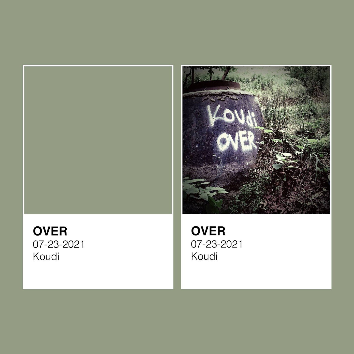 Over by Koudi (@koudi_band), released July 23, 2021 on Trash Tape Records (@trashtaperecords)⁠
⁠
Hex: #939d84⁠
⁠
#koudi #over #albumart #albumcover #pantone