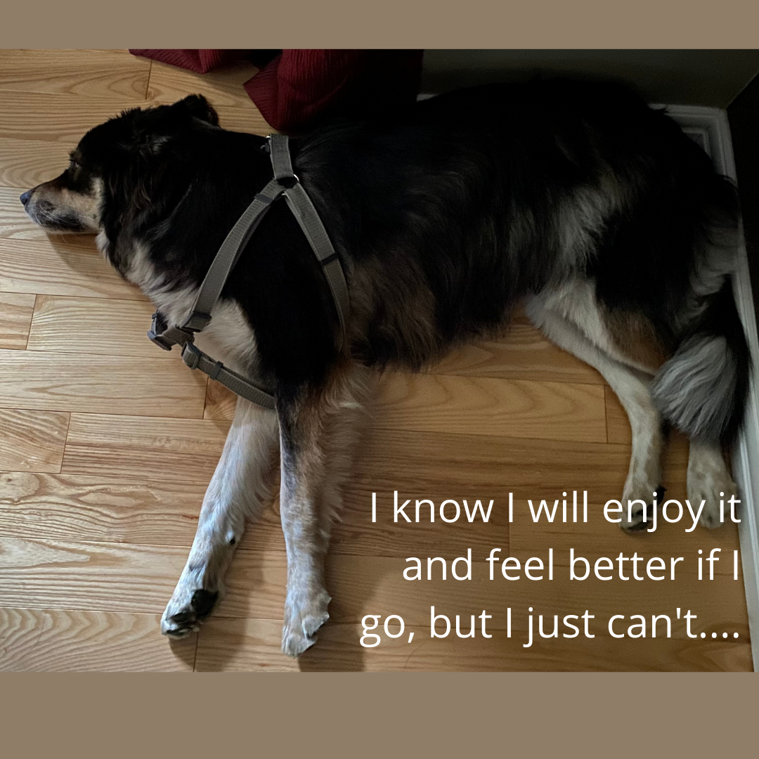 I know I will feel better if I go but I just can’t…..