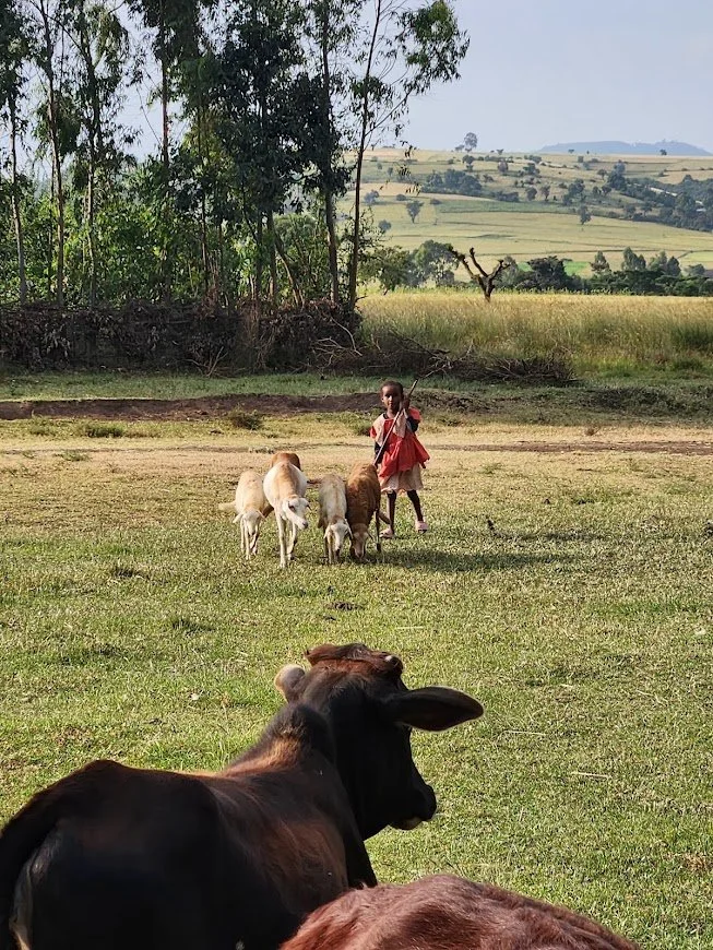 20251023_163612 (1).jpg