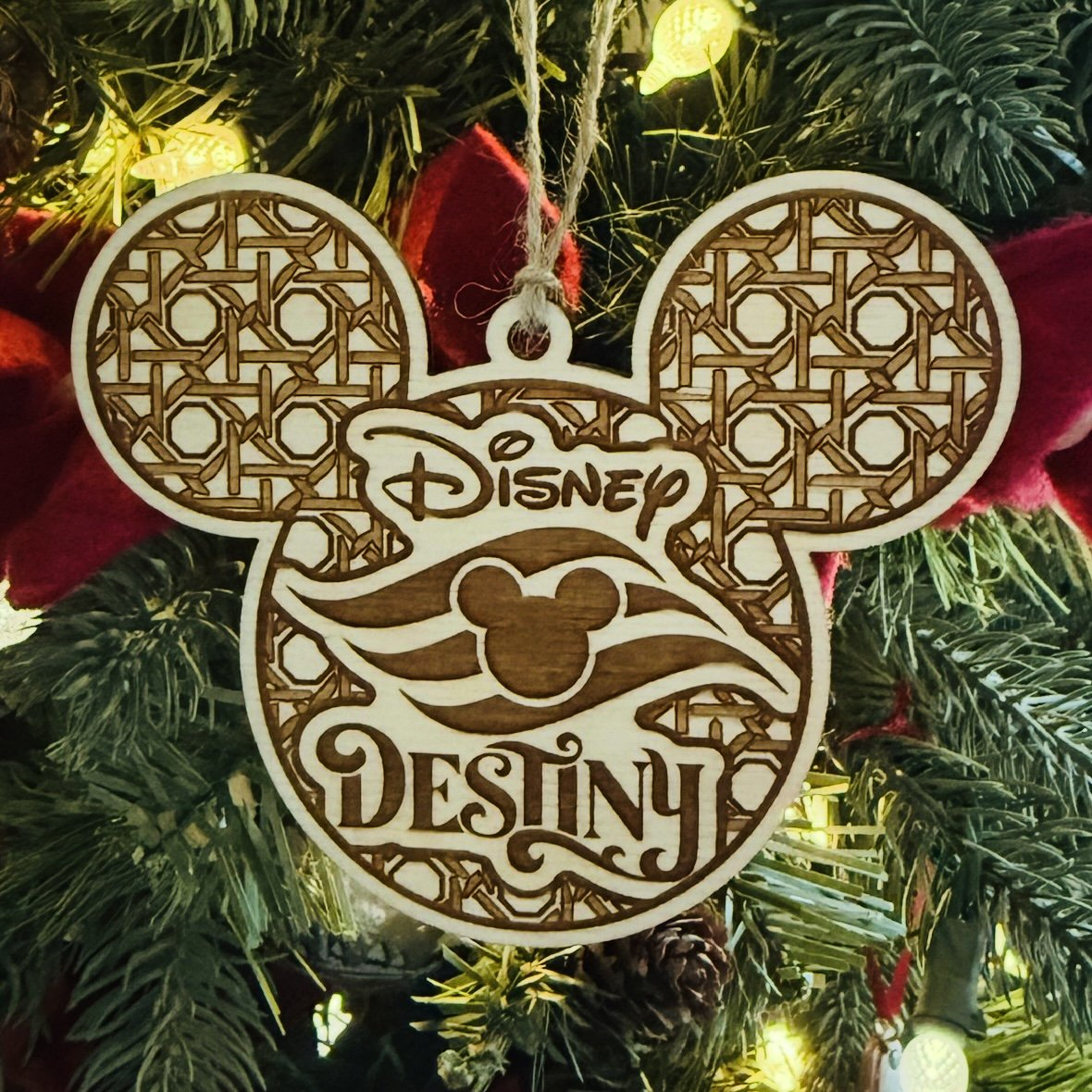Disney Destiny Weave Ornament Photo.jpeg