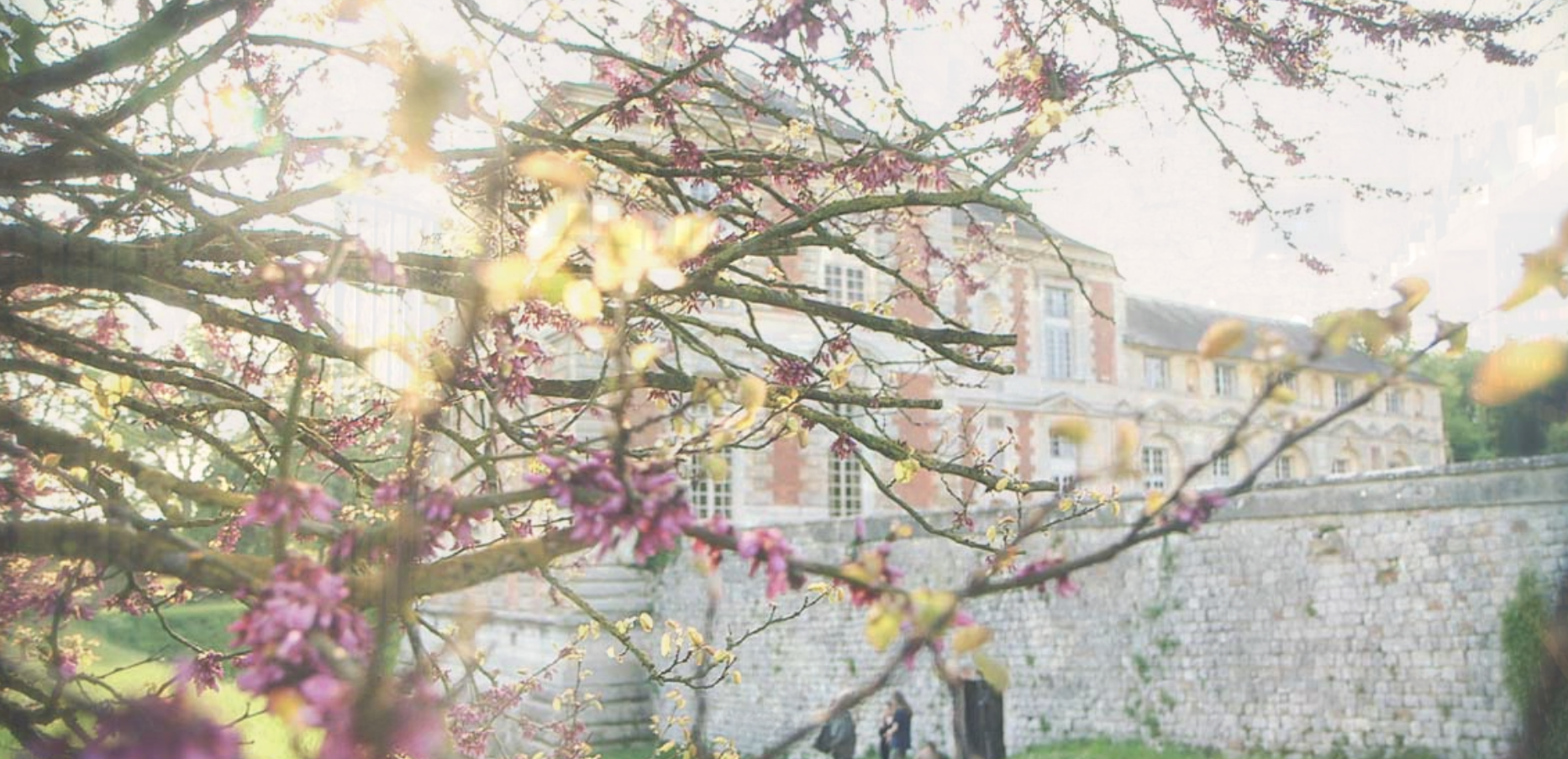 Screen Shot 2020-12-04 at 9.41.40 AM.png