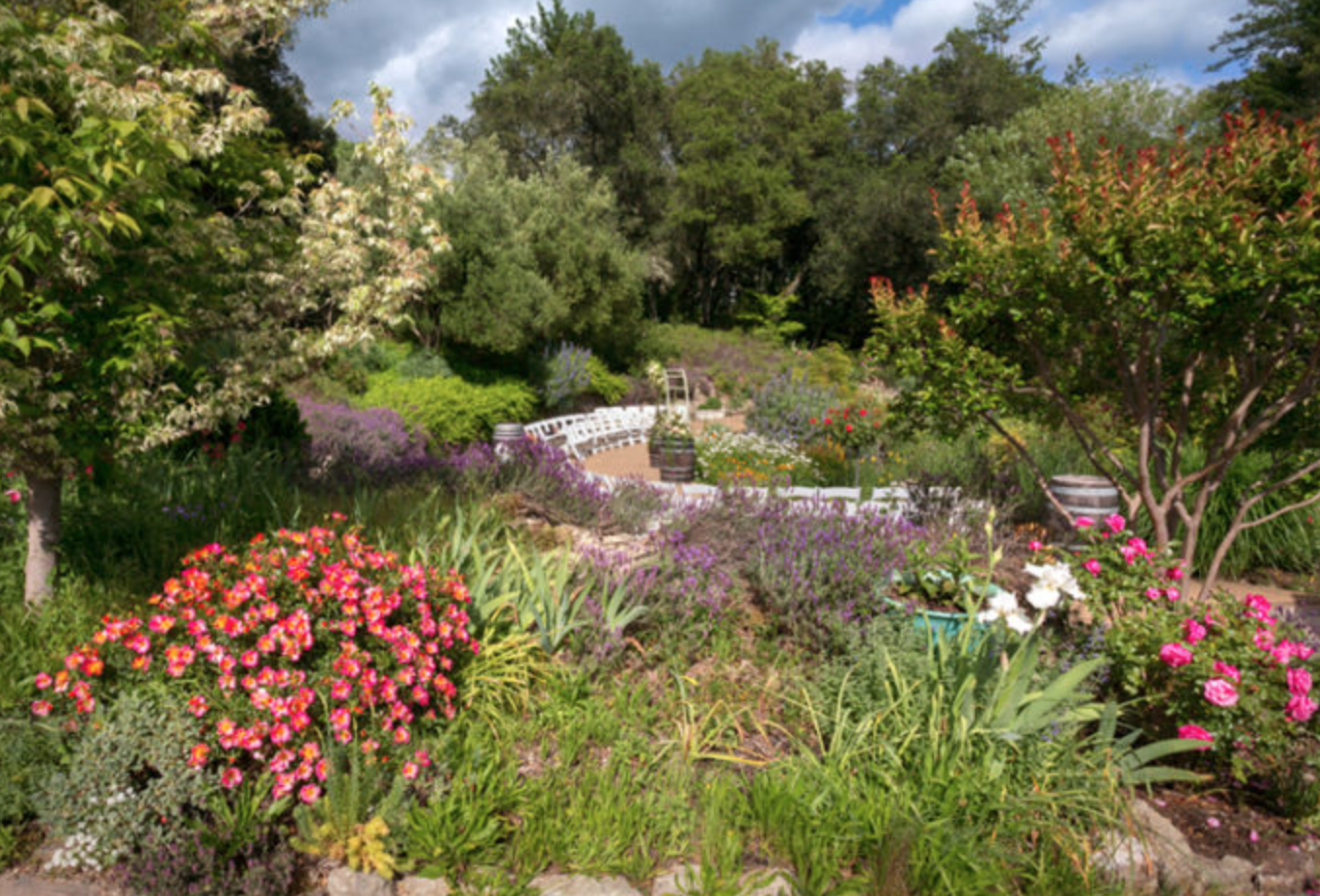 Screen Shot 2020-12-04 at 10.21.42 AM.png