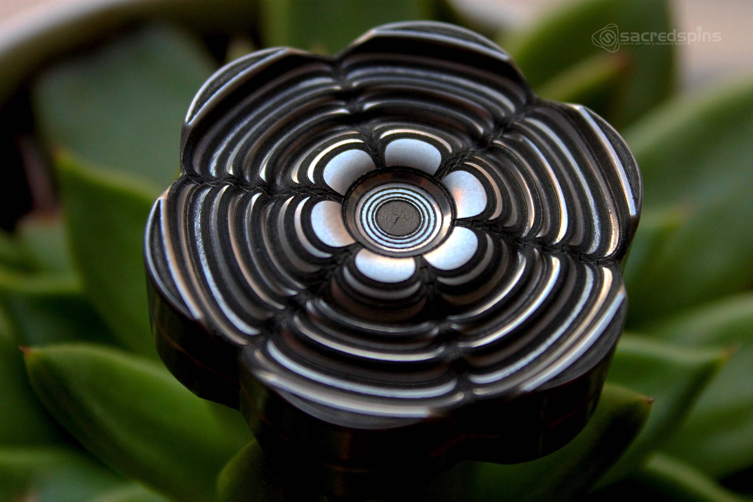 DATURA - COMING SOON!