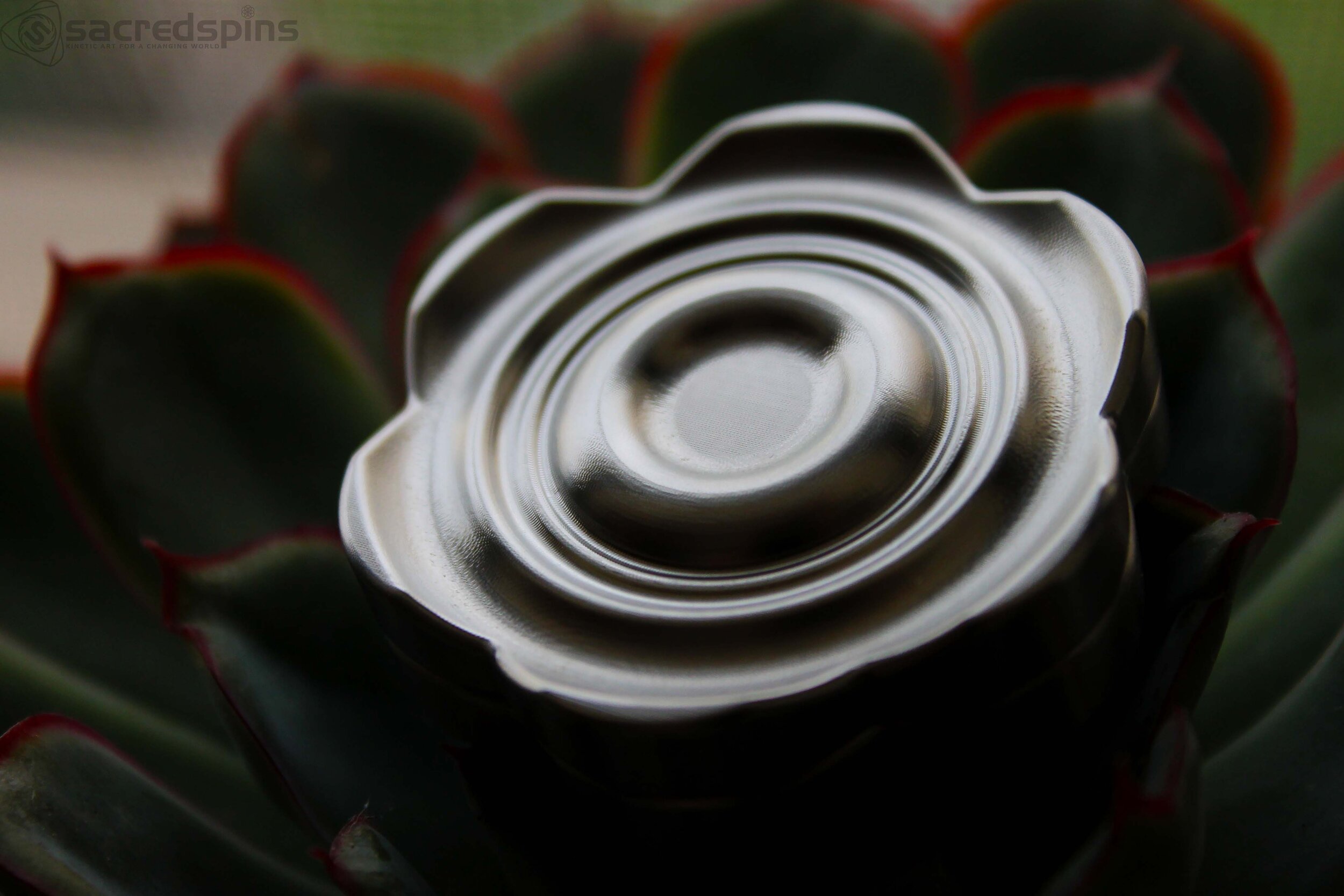 Datura