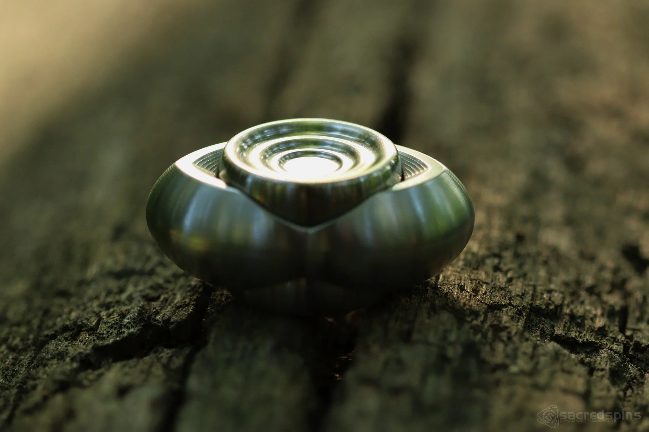 T12.jpg