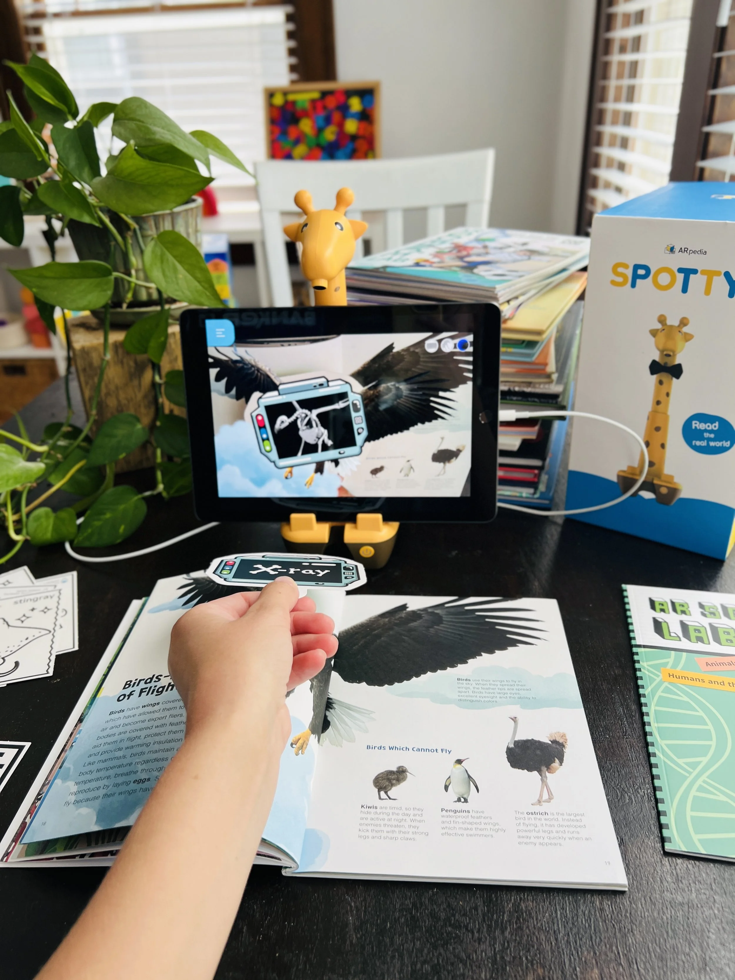 ARpedia is Learning Brought to Life! Augmented Reality Books for Tablet -  The Kid Lit Mama, image size:2500x3333