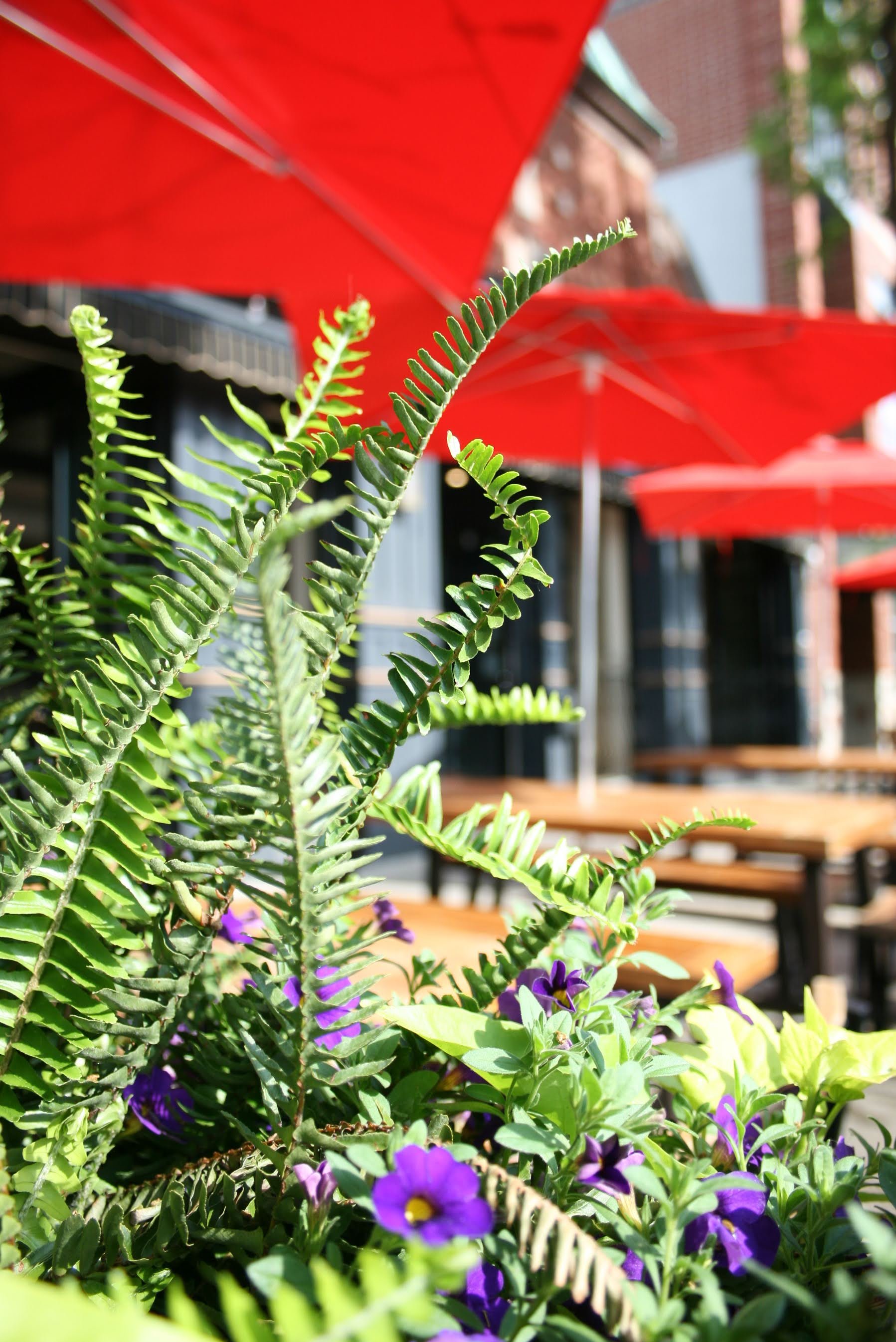 Photography work at Kinship Company
Client: LG’s Bar and Kitchen