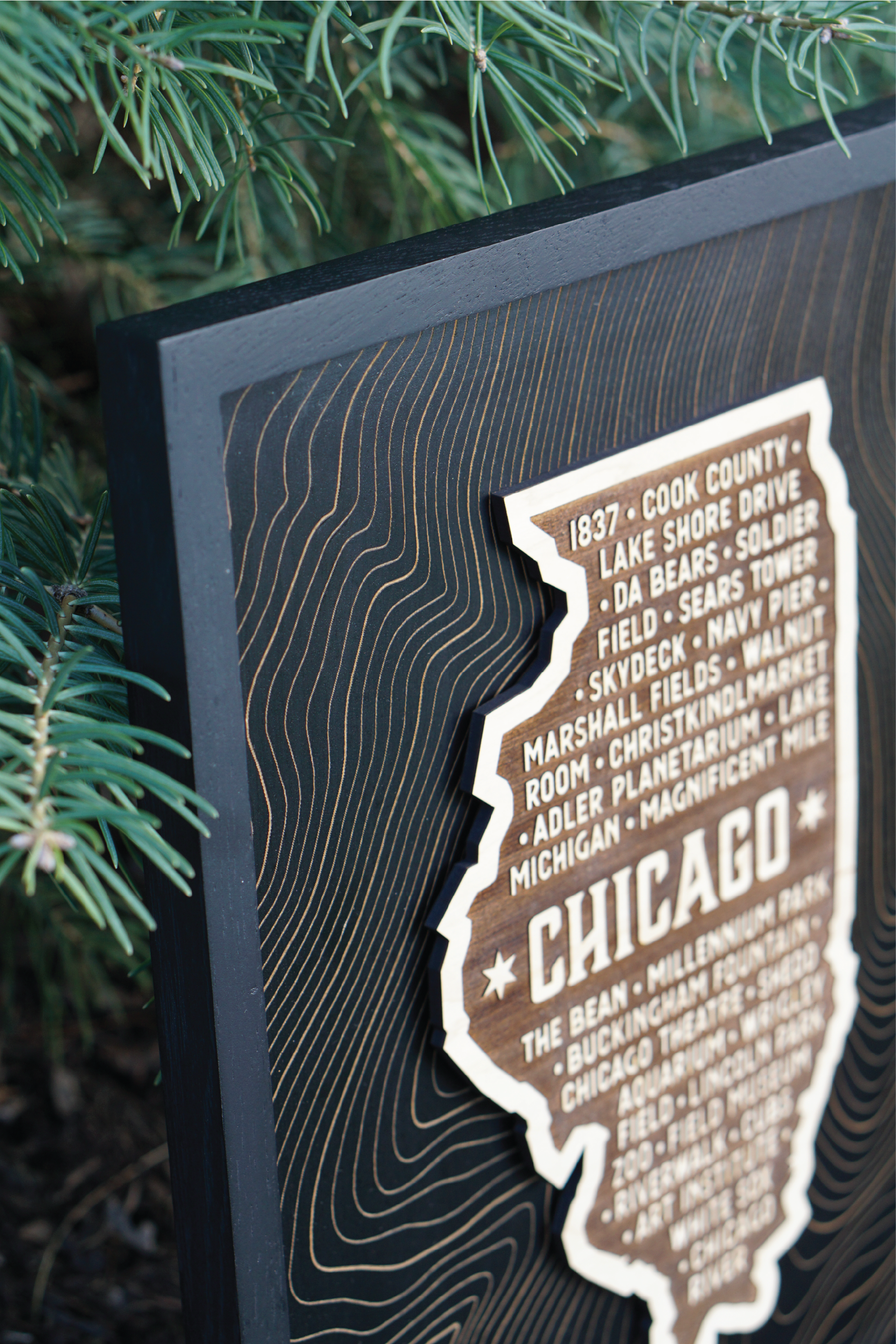 Chicago-Illinois-Wood-Art-Print_2.png