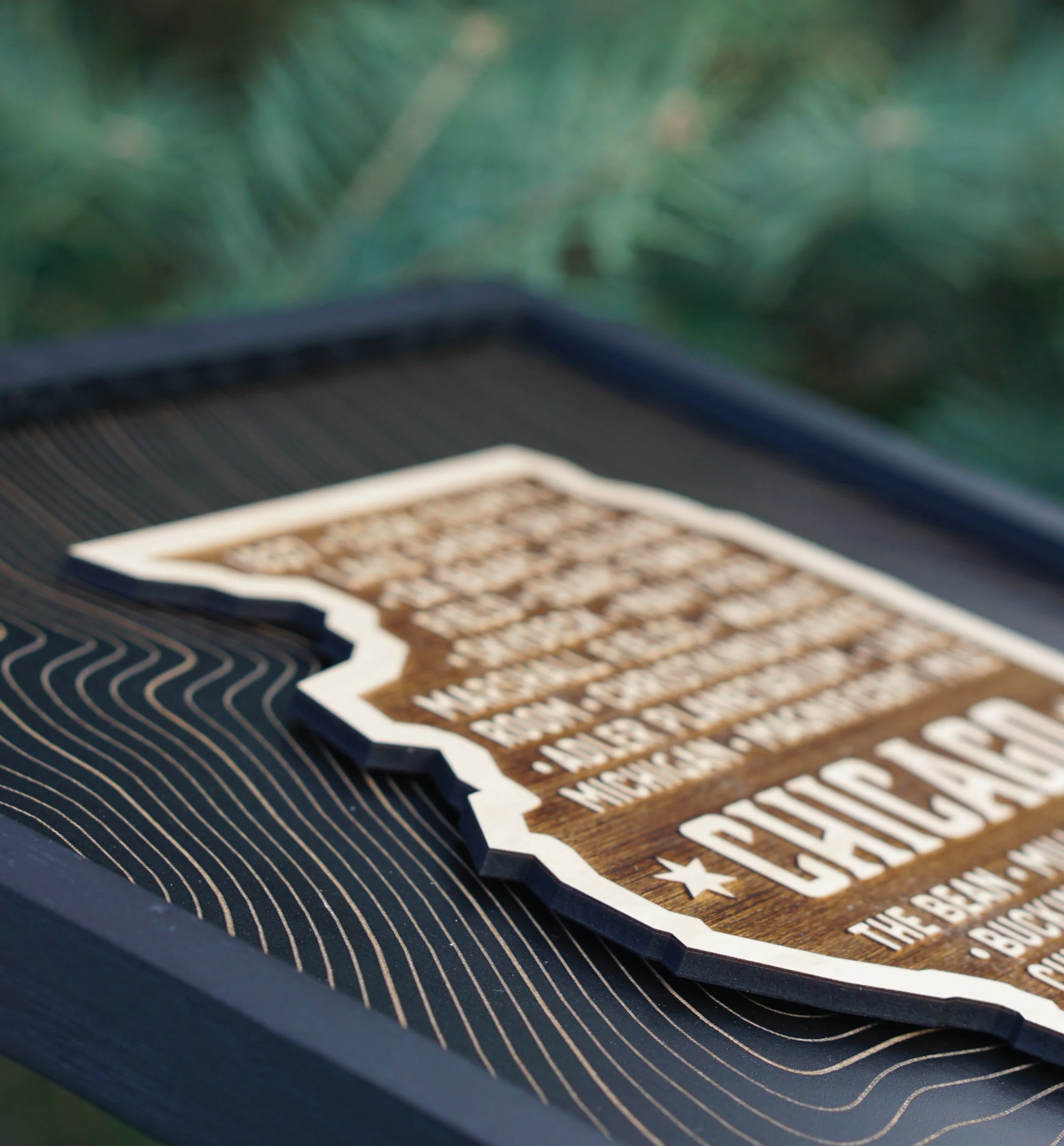 Chicago-Illinois-Wood-Art-Print_4.jpg