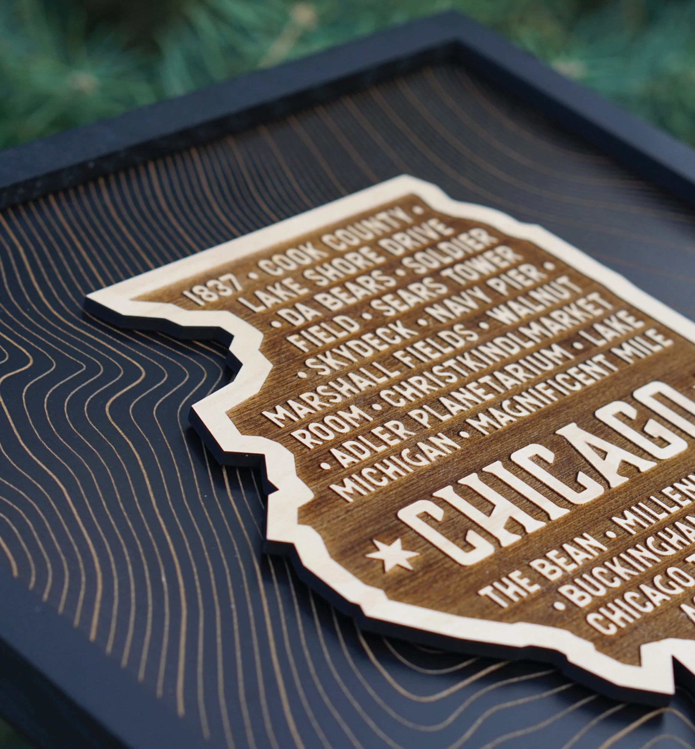 Chicago-Illinois-Wood-Art-Print_3.jpg