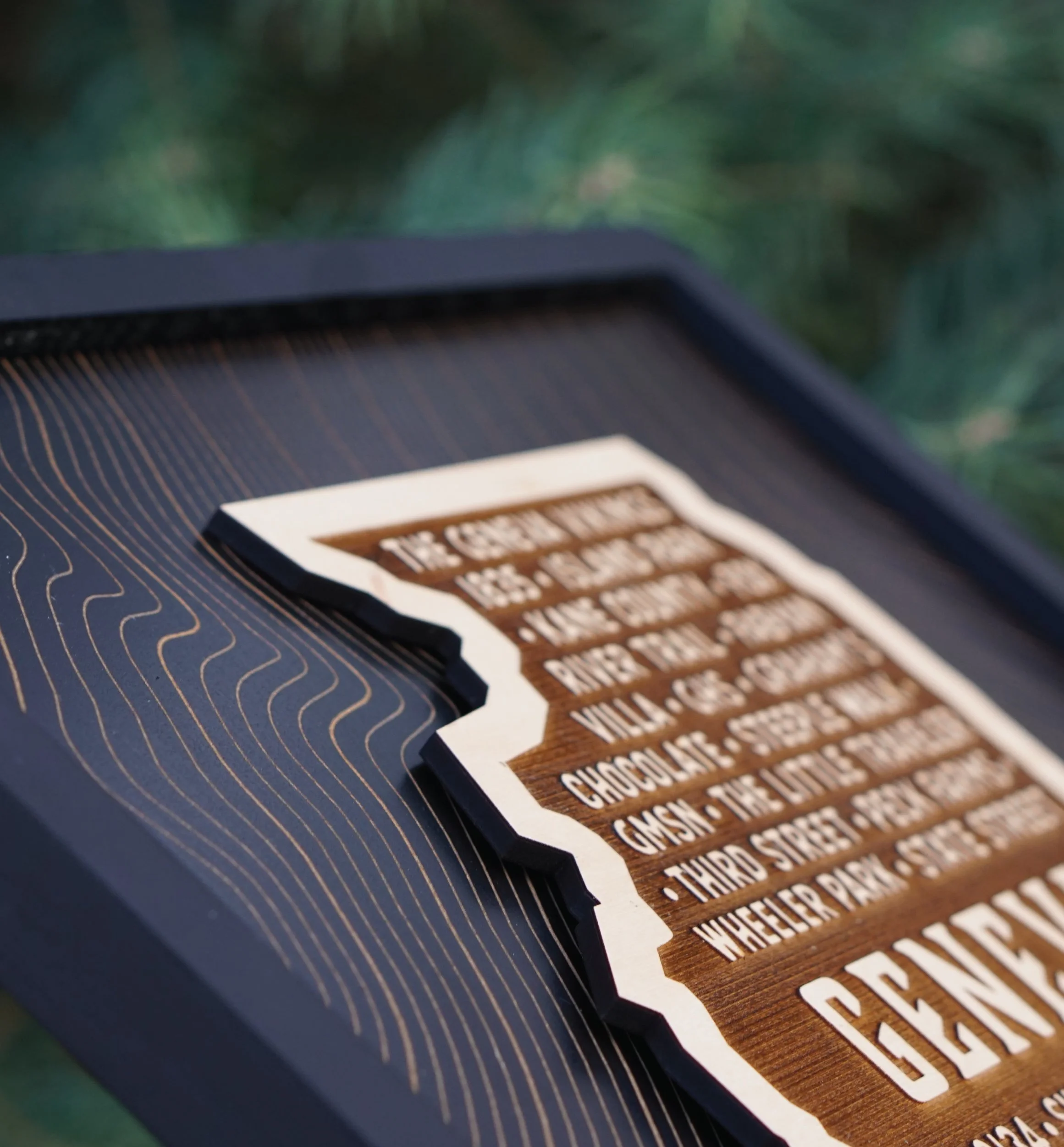 Geneva-Illinois-Wood-Art-Print_3.jpg