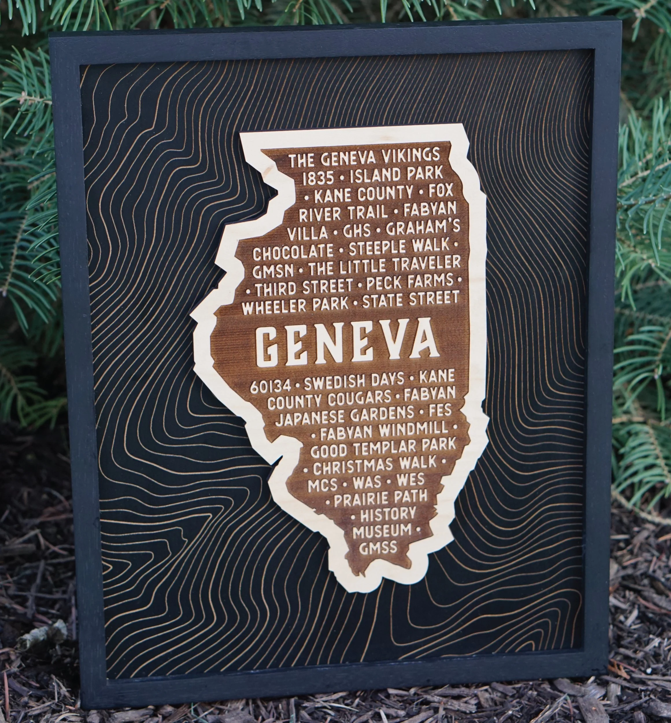 Geneva Illinois Highlights Framed Wood Art — Laser Engraved Heritage Print