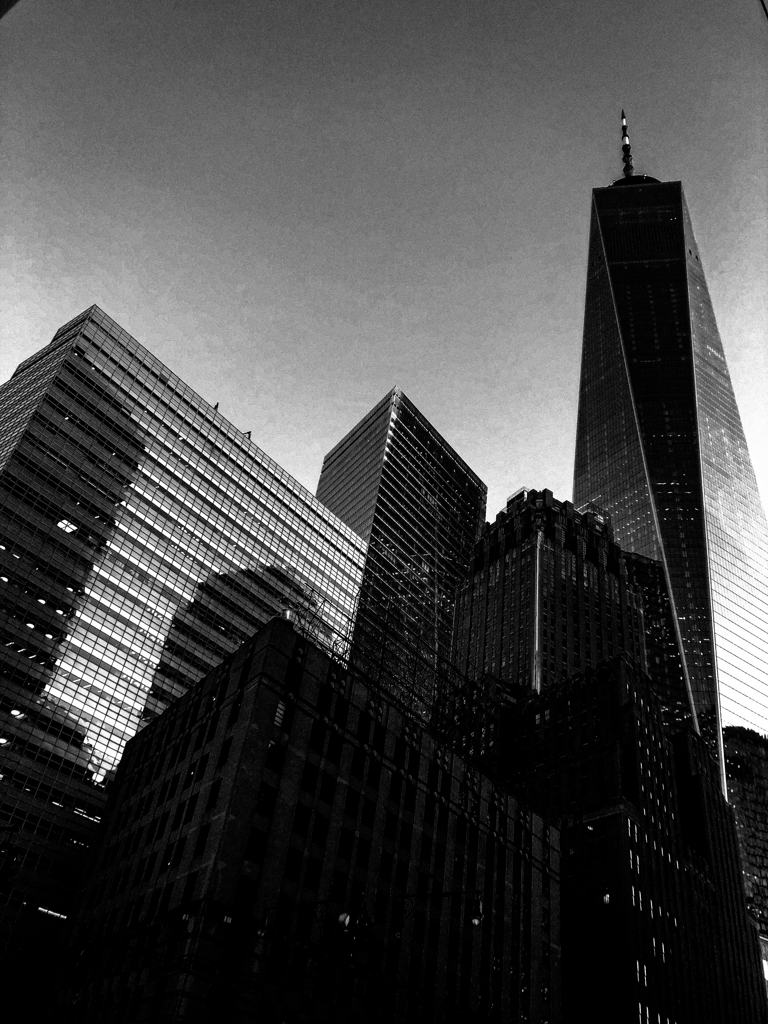 IMG_6455 copy.jpg