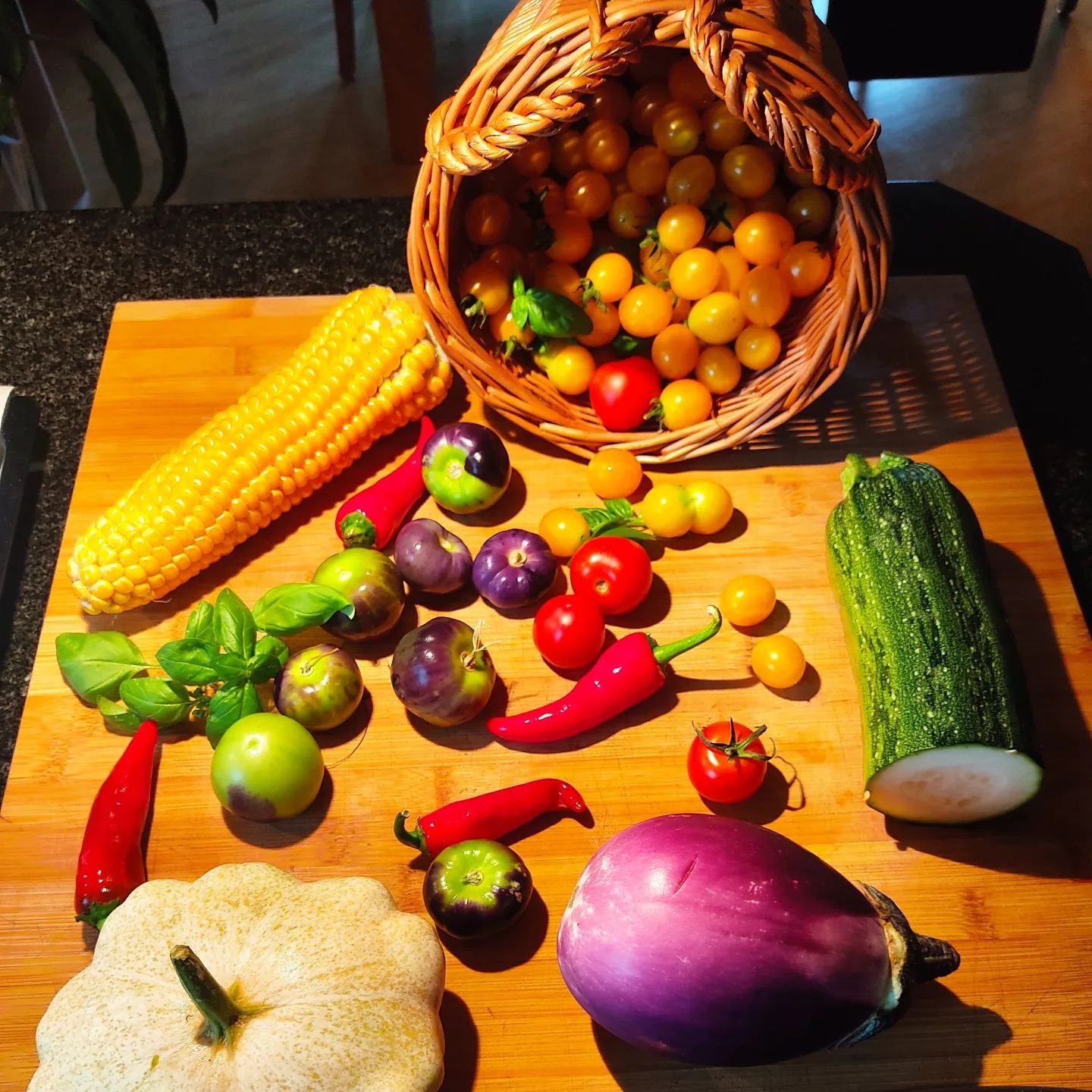 A colourful, summer harvest.

#permaculturegarden #vegetablegarden #growyourownfood  #permakultur #rainbowfood🌈