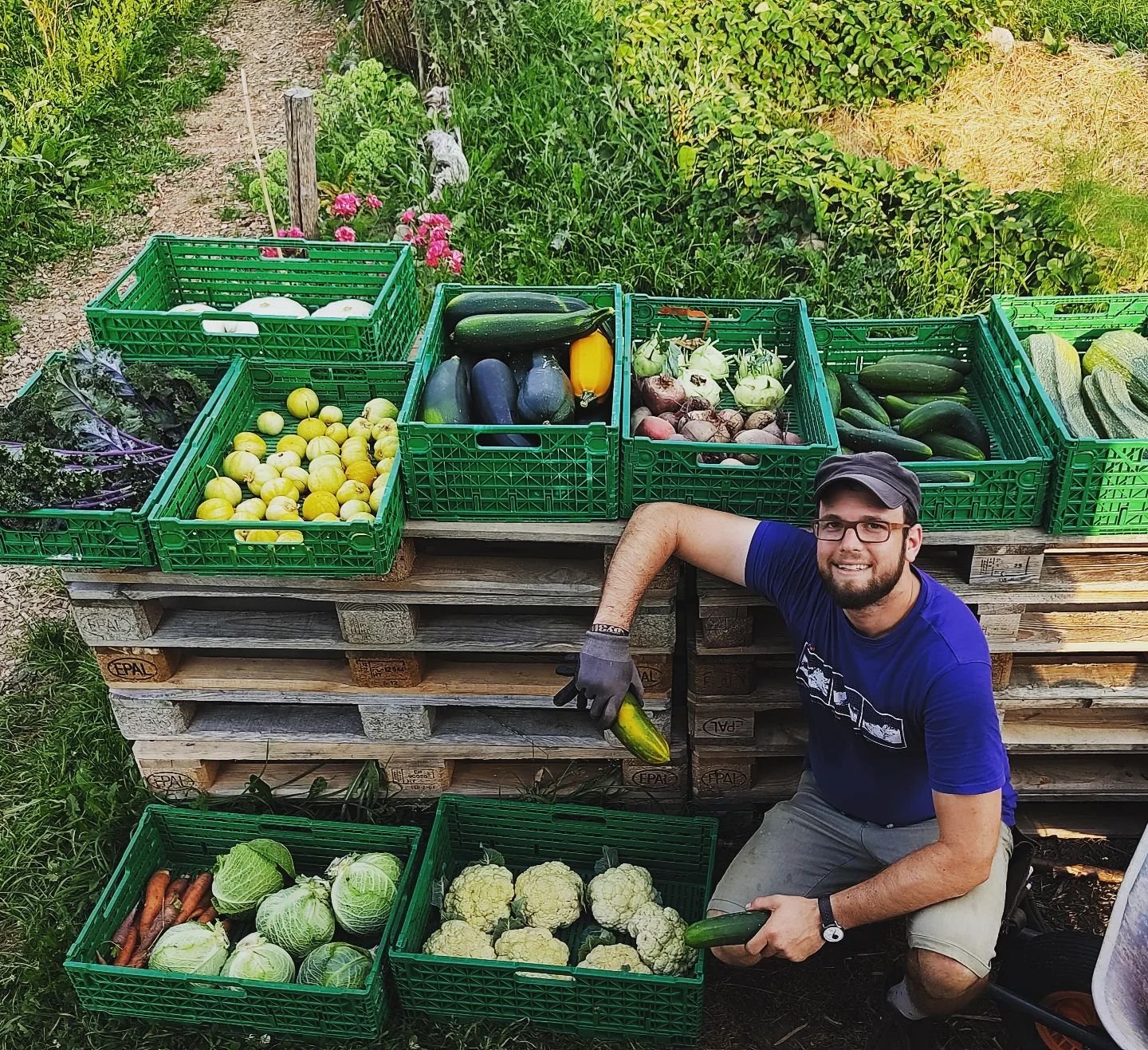 Great to supply our friend Max @himmelamberg with some extra produce. Now he can work his magic on it and preserve the summer energy for months to come. Check out his online shop at https://himmel-am-berg.ch
#permaculturegarden
#vegetablecollaboratio