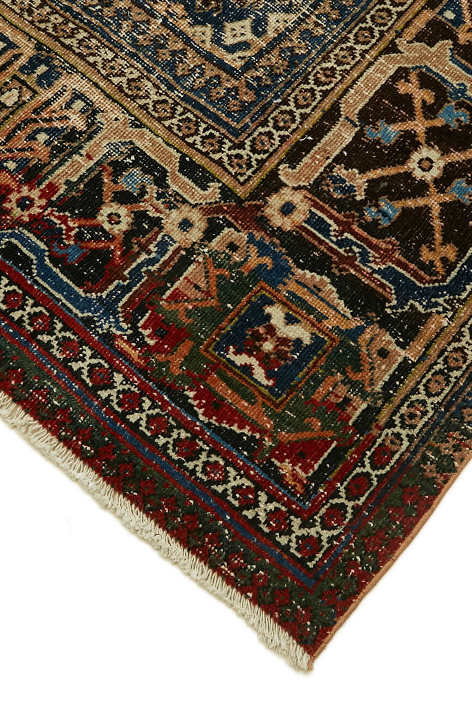 46141_3.jpg