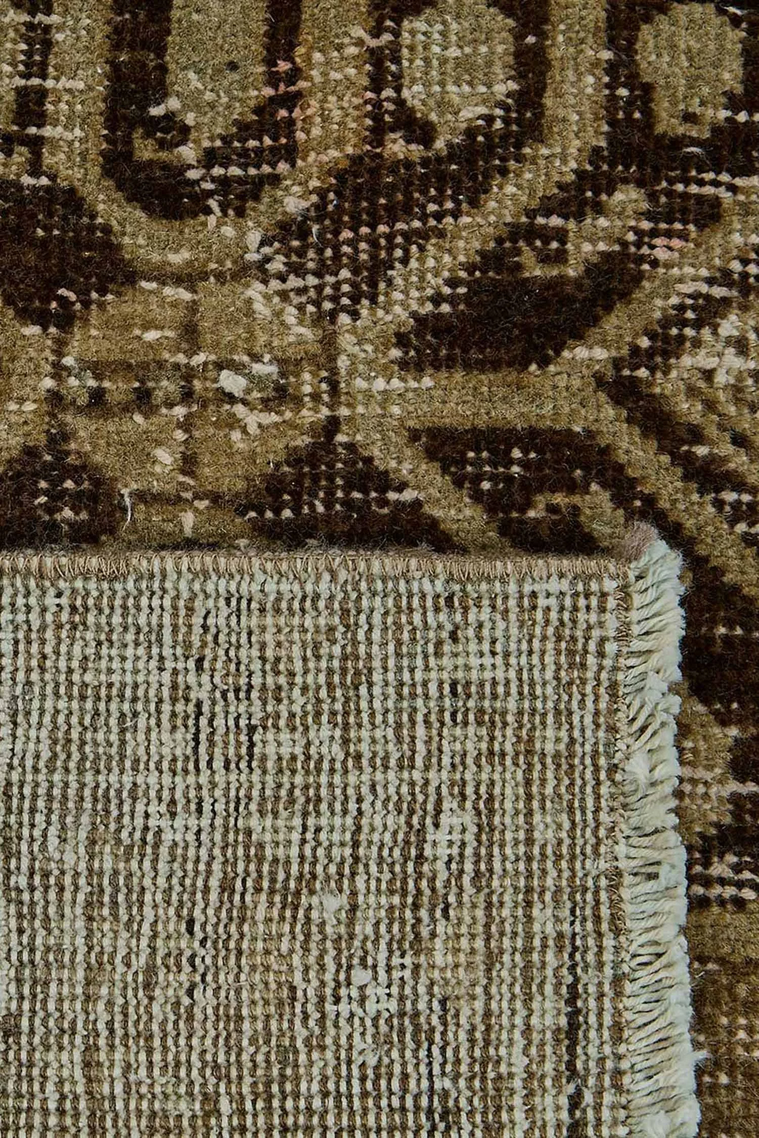 51027_6.jpg