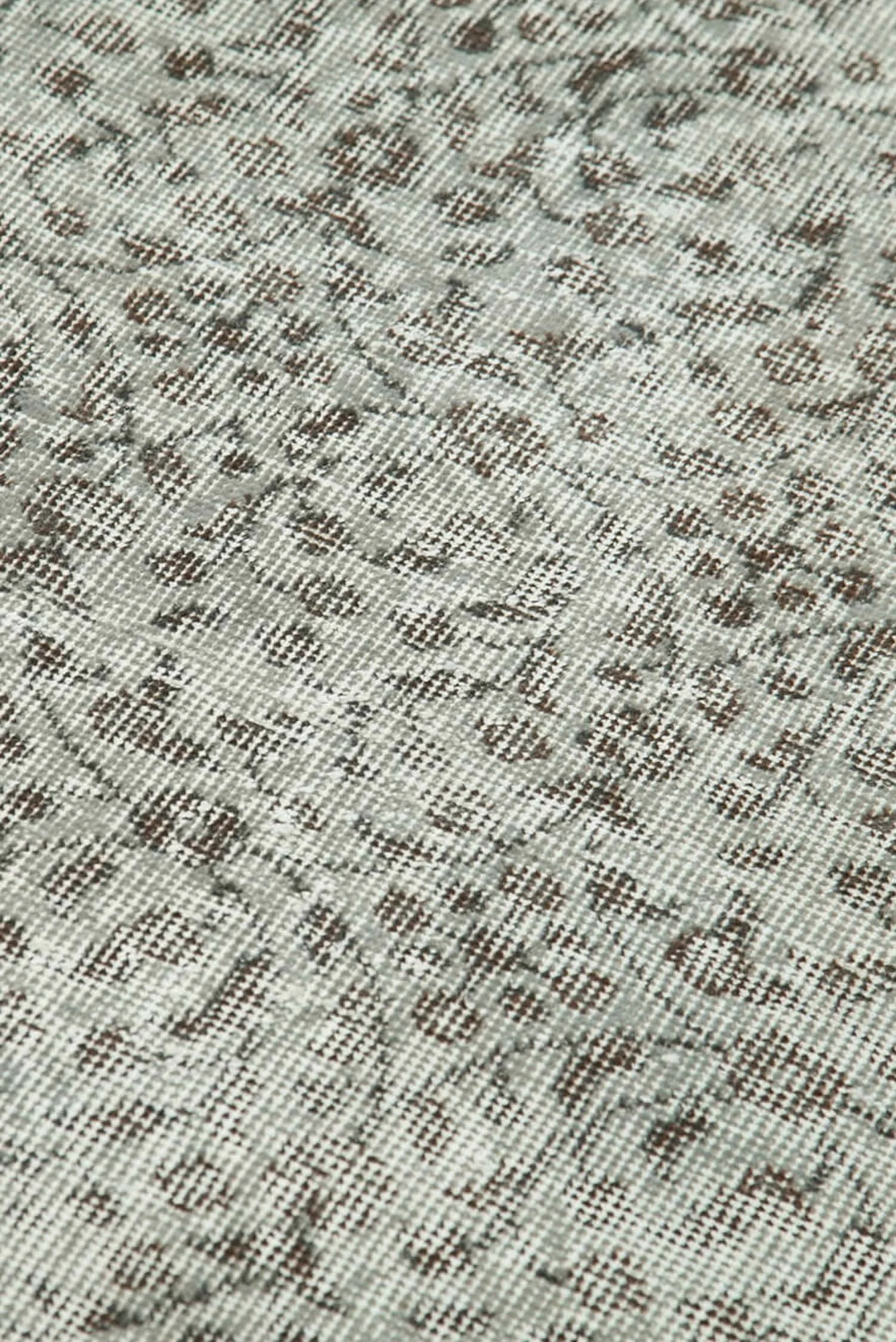 31257_5.jpg