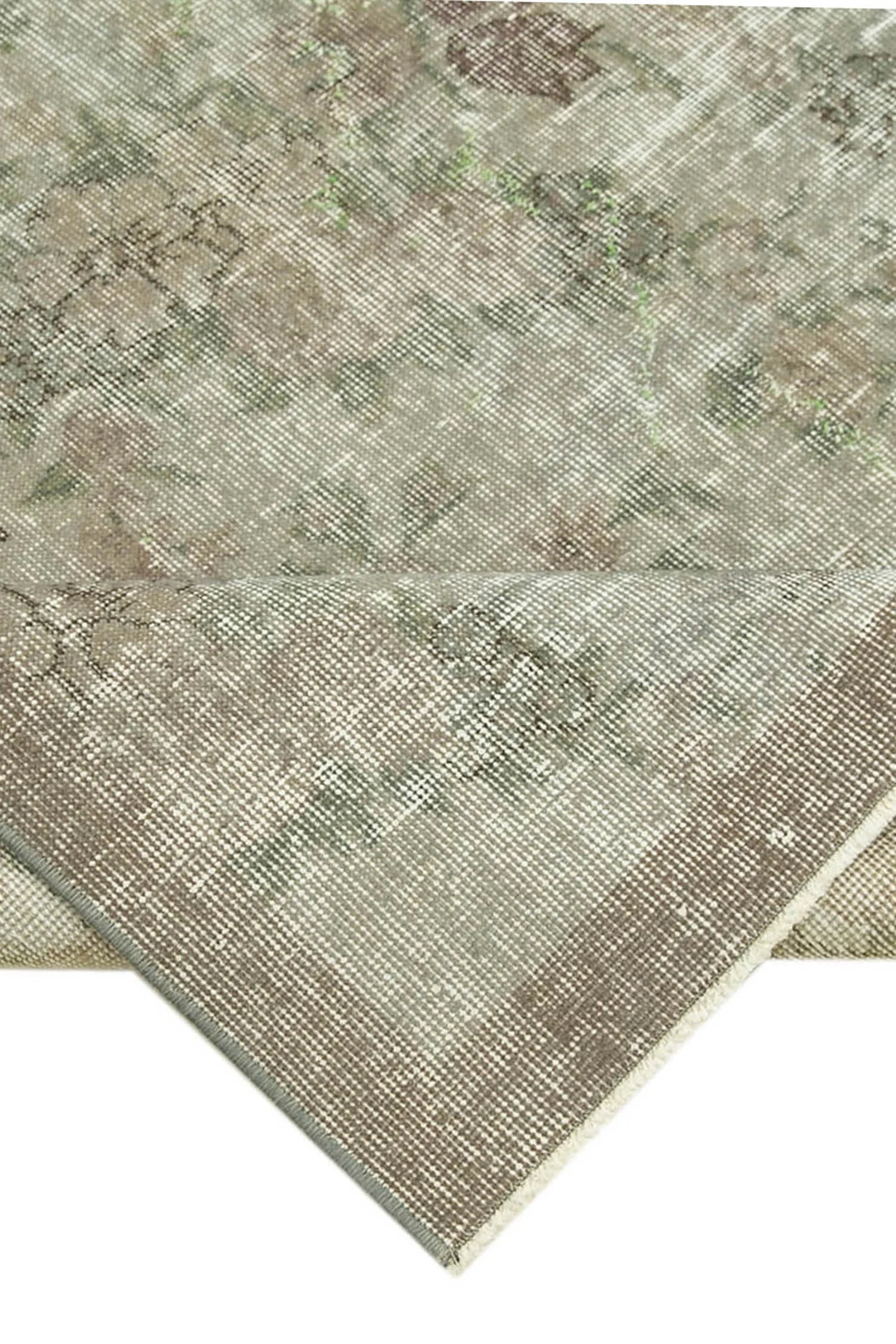 29883_6.jpg