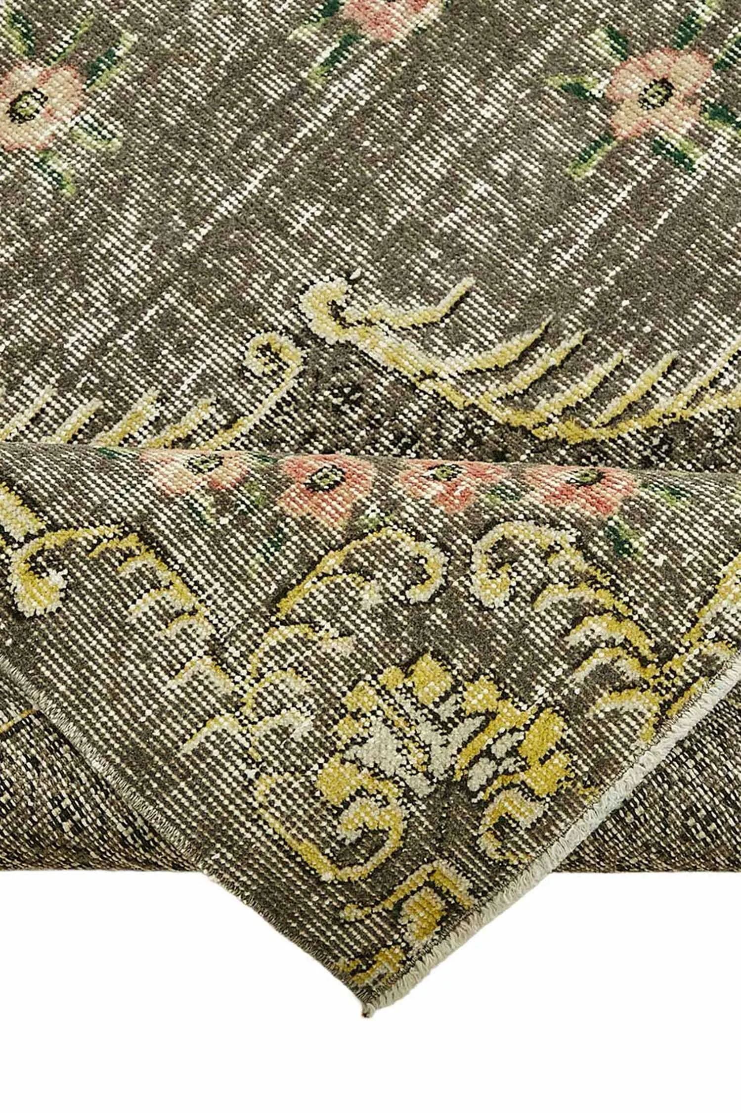 49666_5.jpg