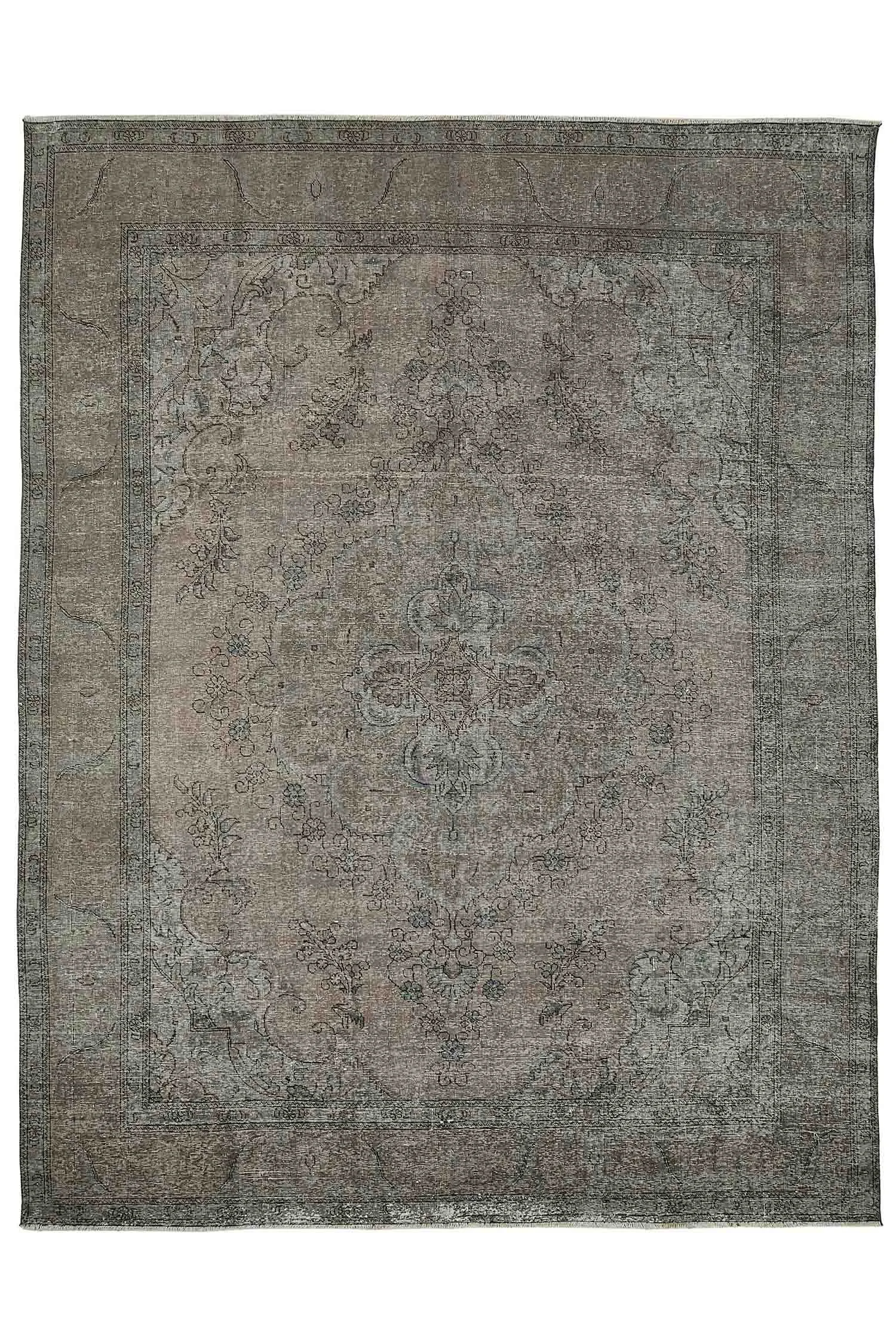 49684_0.jpg
