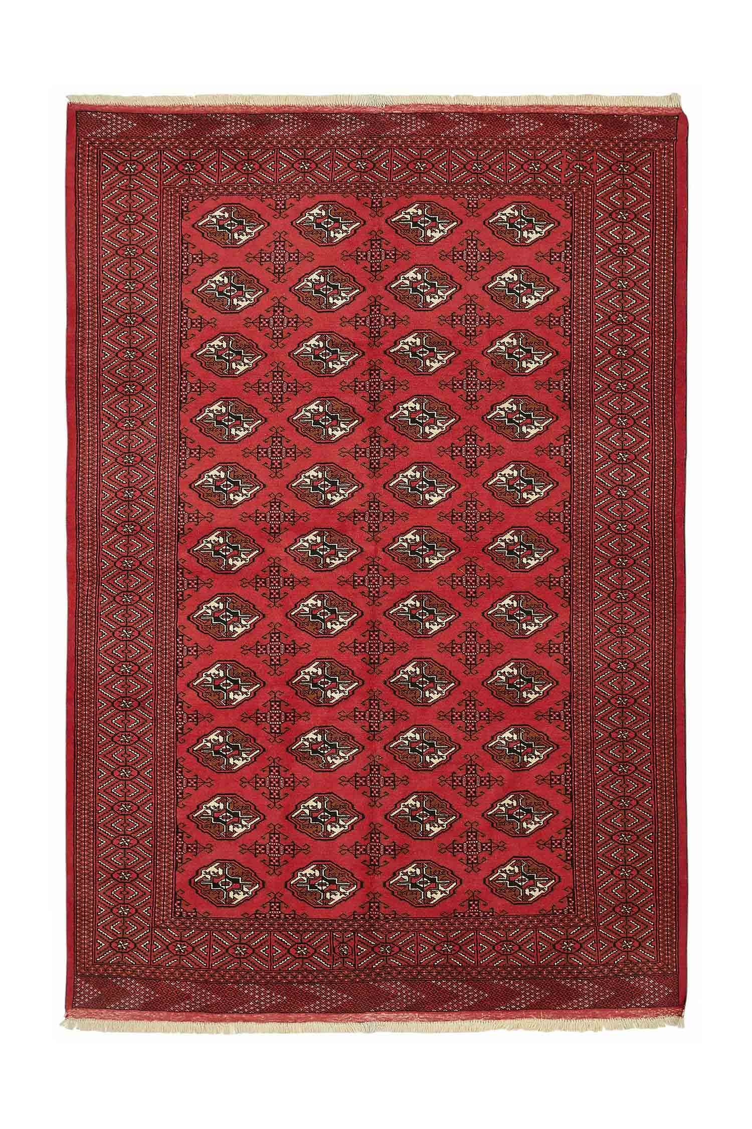 Saf - 5'4'' x 8'2''
