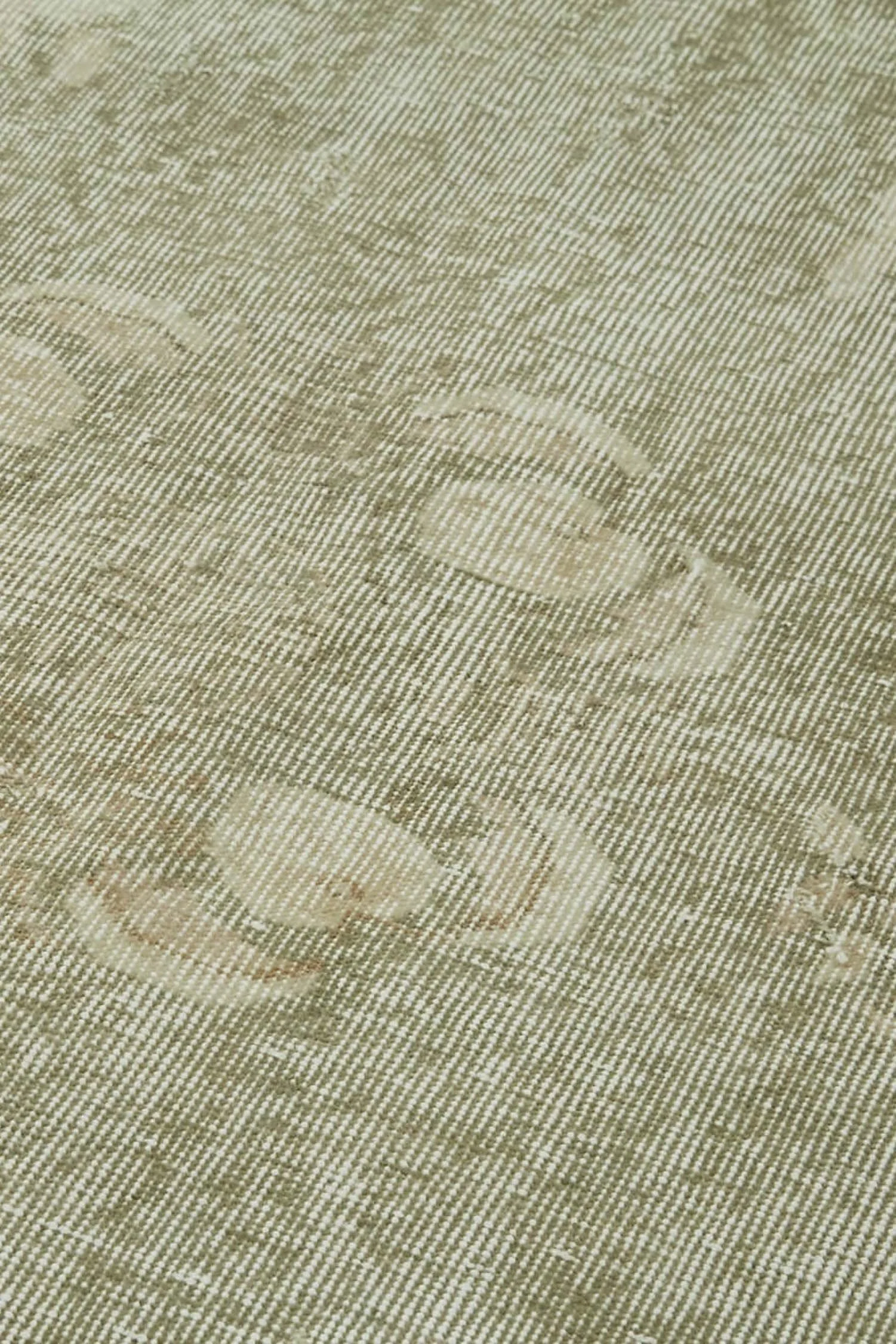 41543_4.jpg