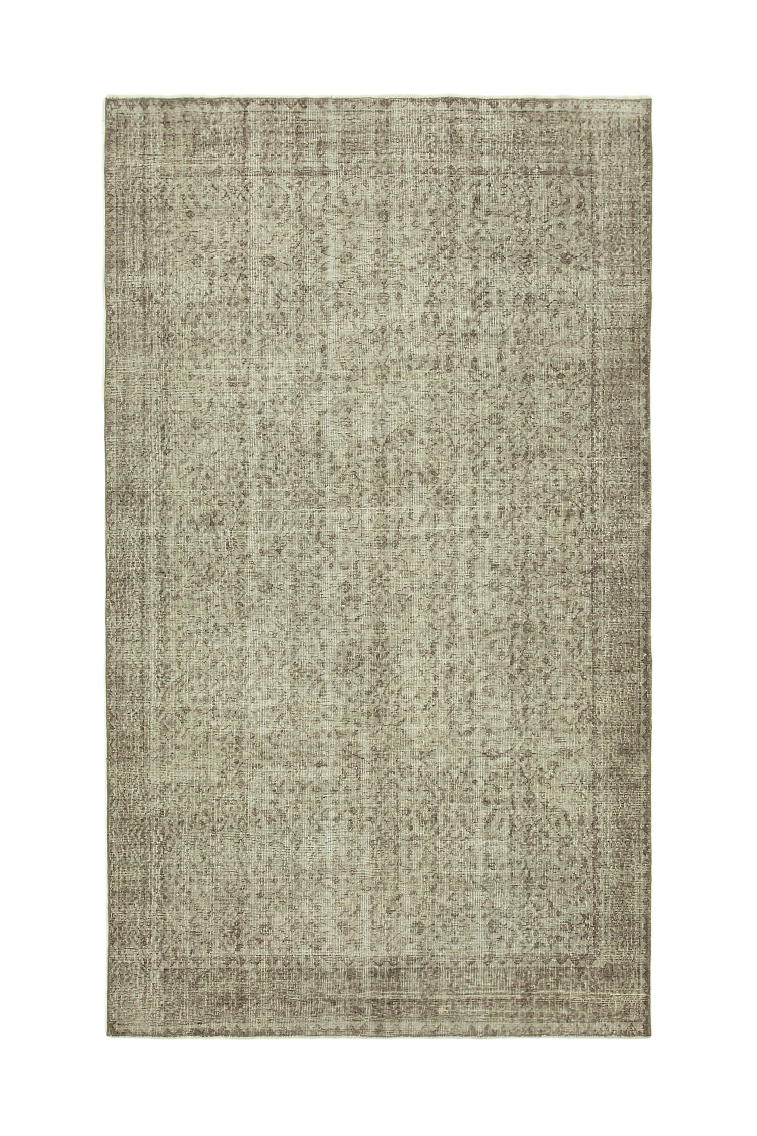 30743_1.jpg