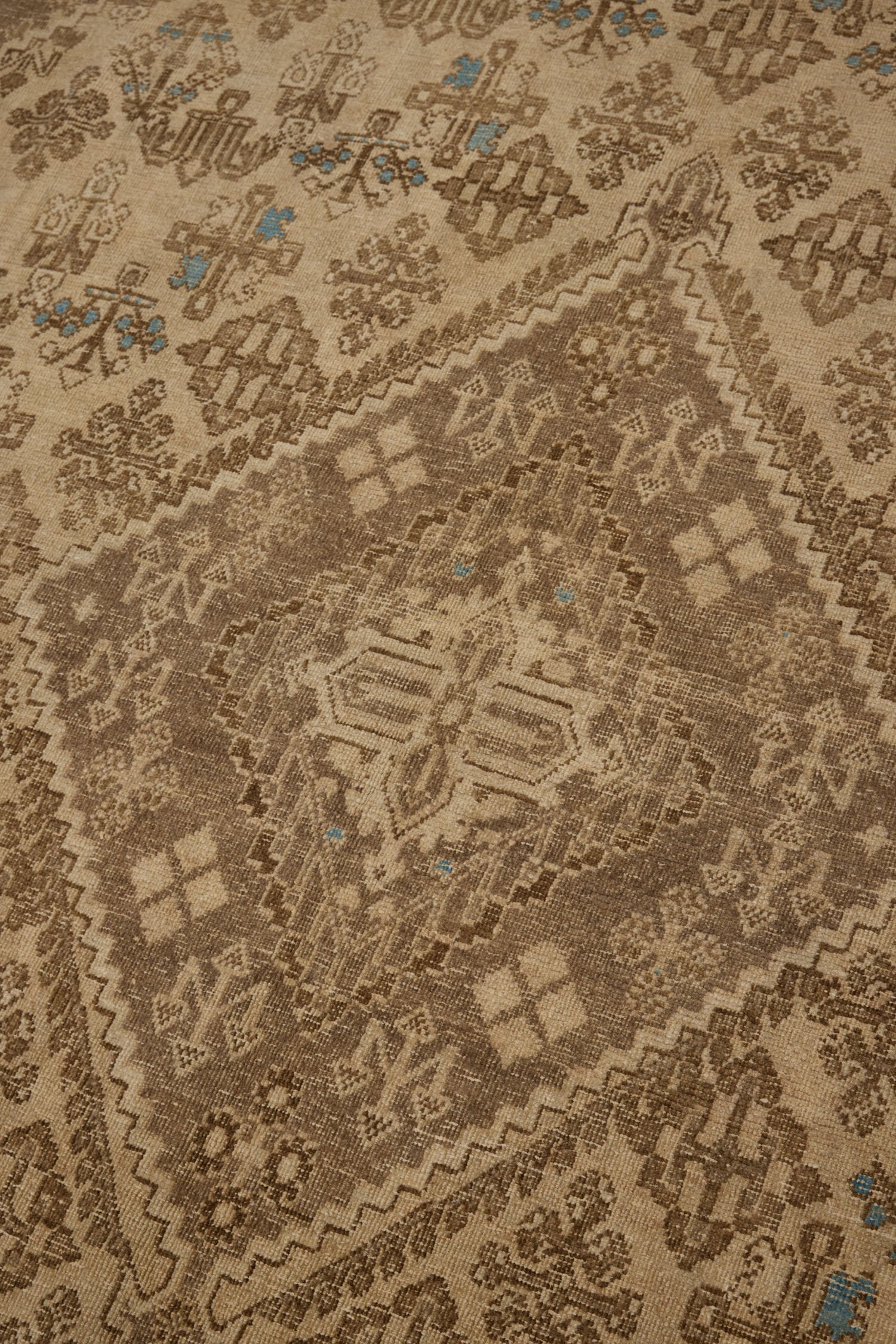 7966-4.jpg