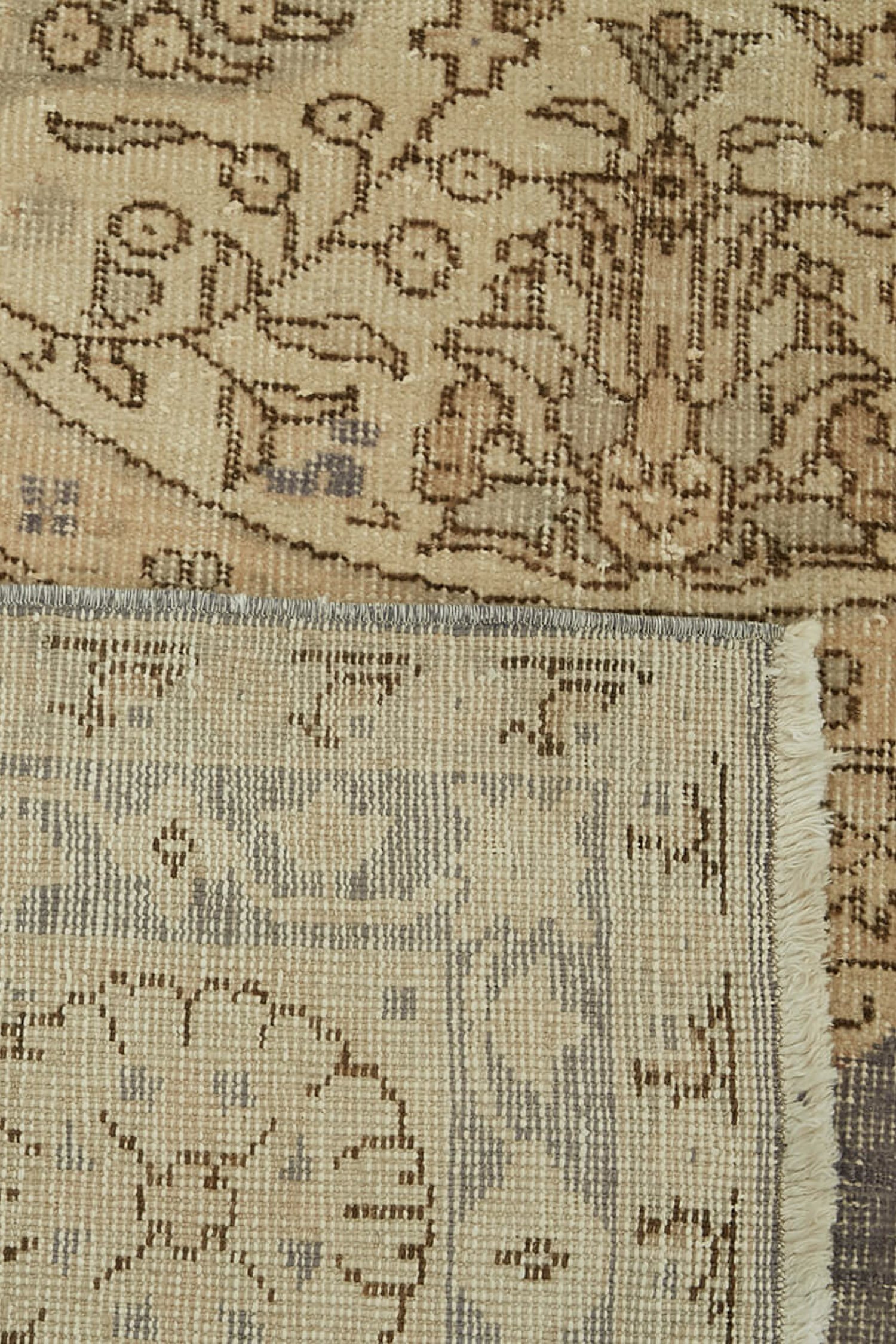 46411_6.jpg