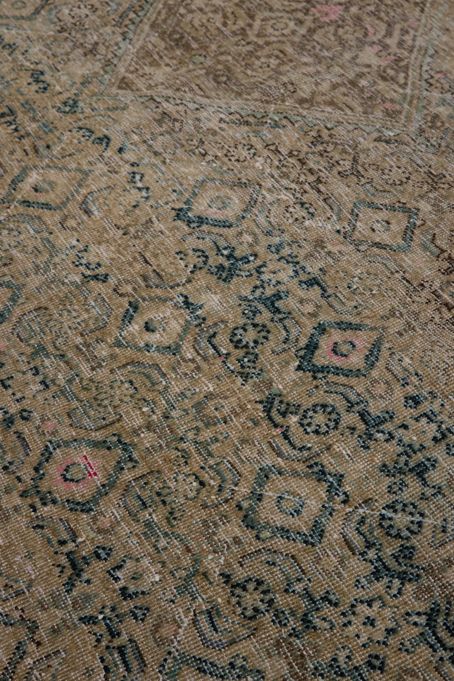 2871-4.jpg
