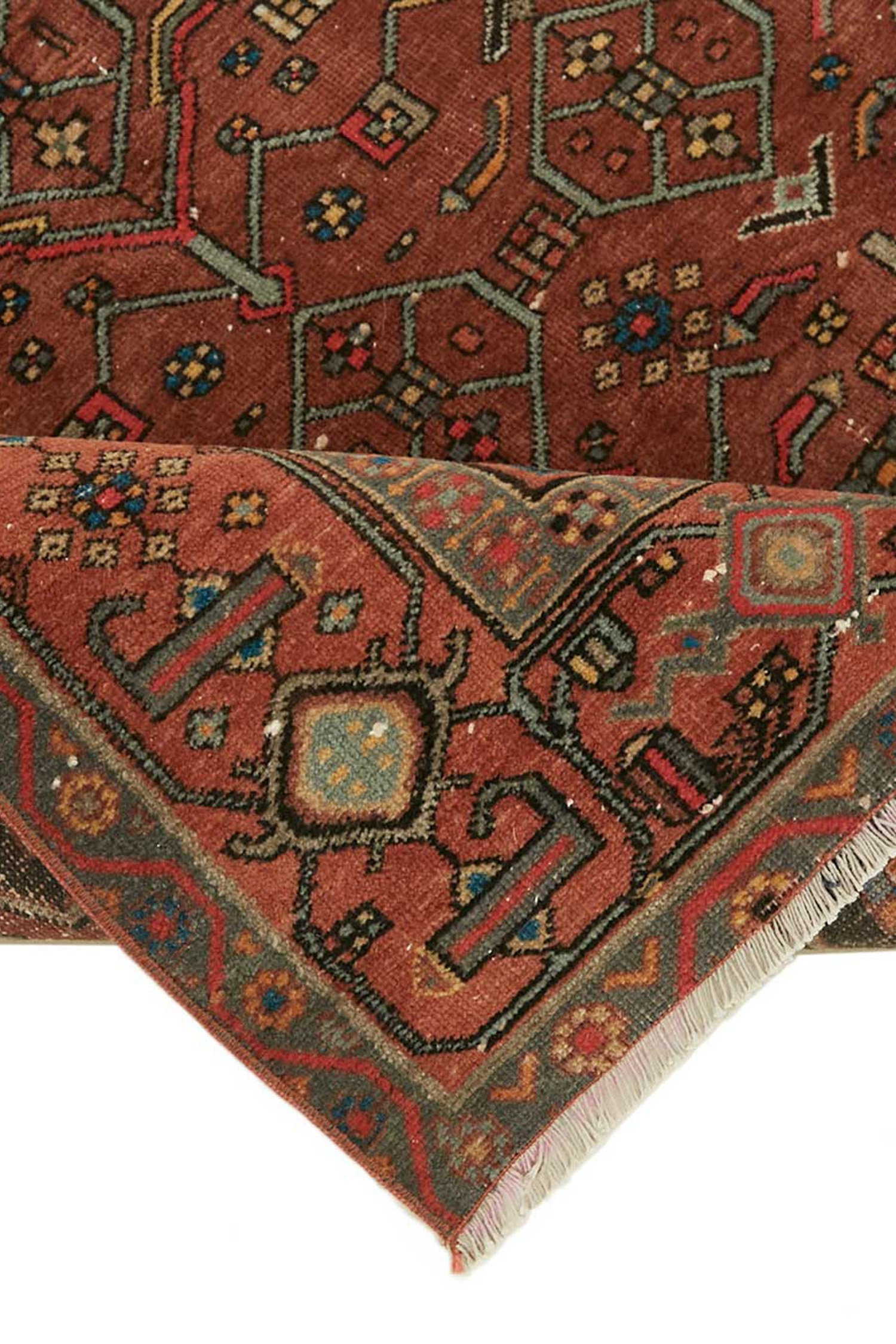 47531_5.jpg