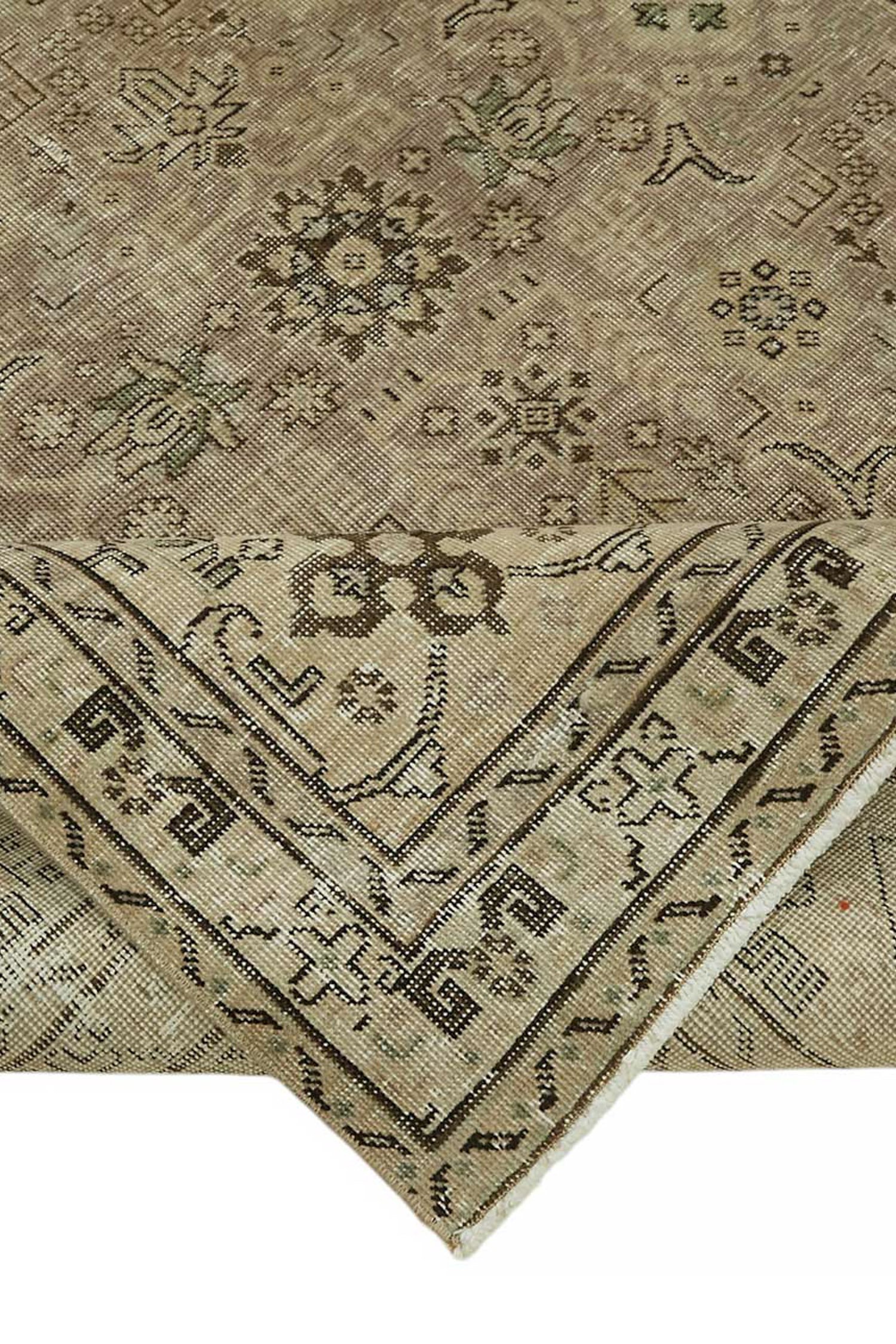 47546_5.jpg